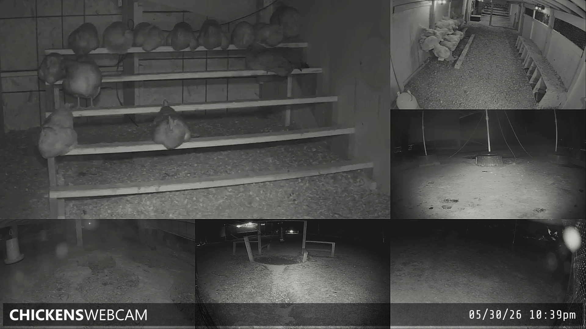 Twitch Stream Preview