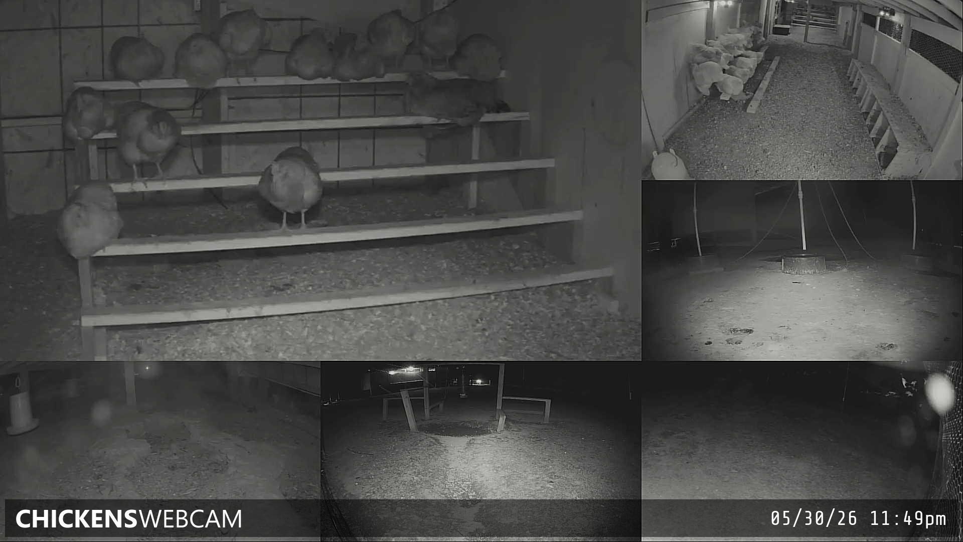 Twitch Stream Preview