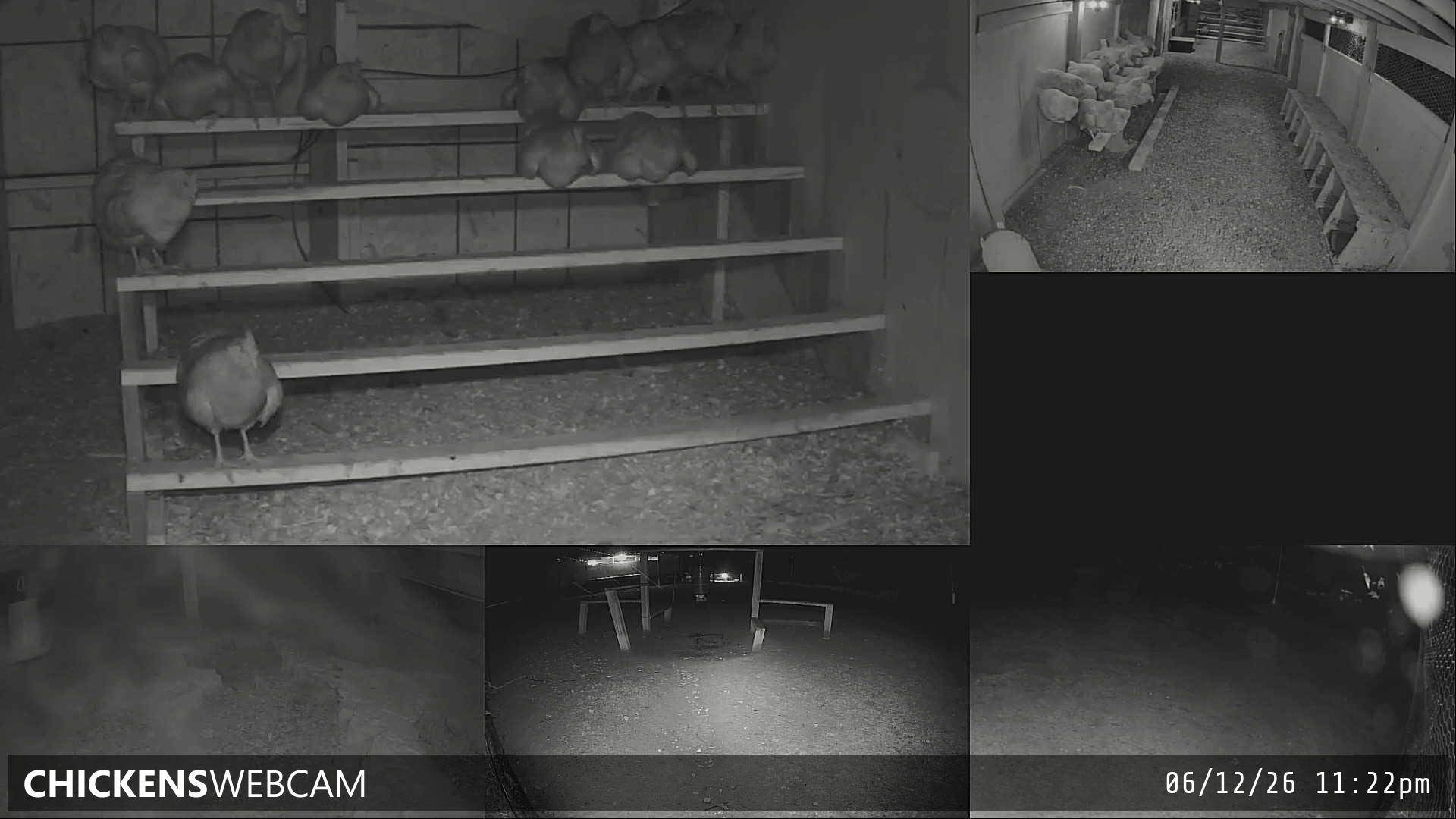 Twitch Stream Preview