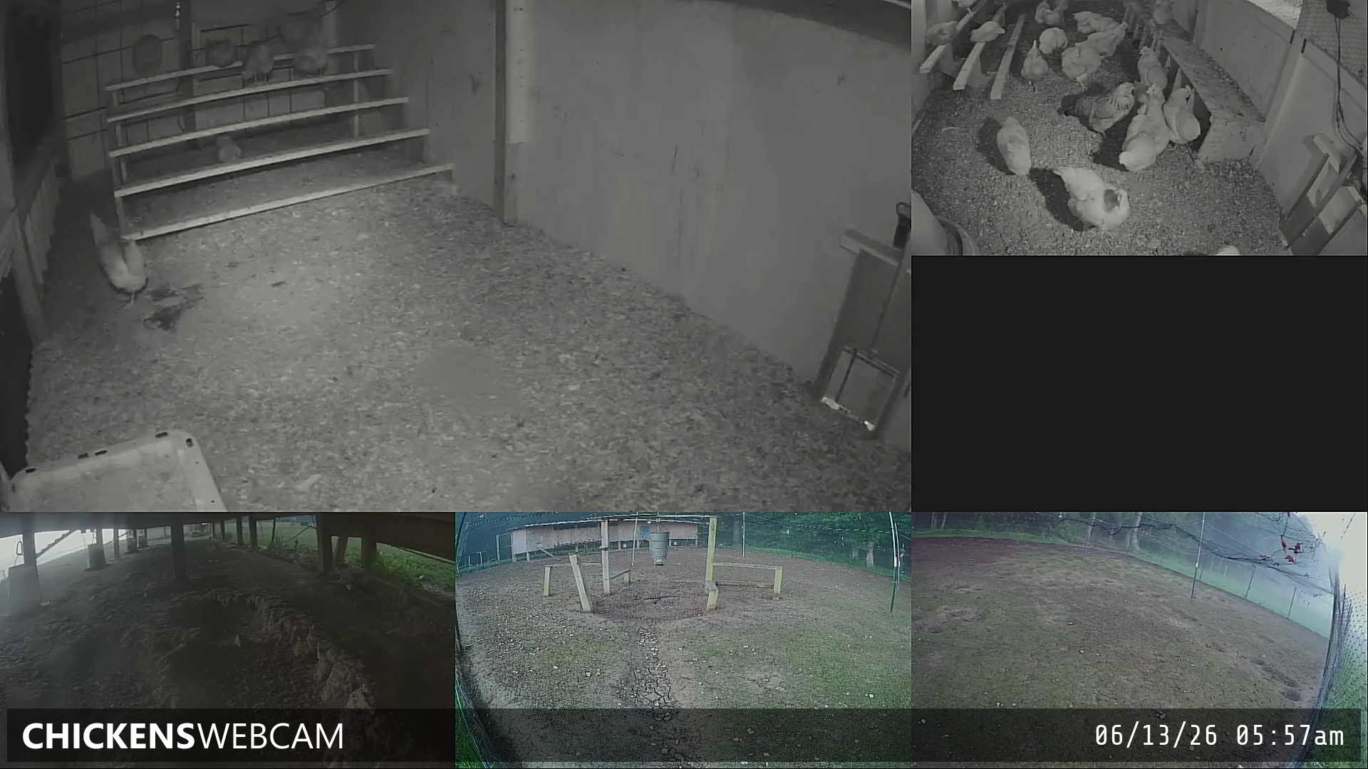Twitch Stream Preview