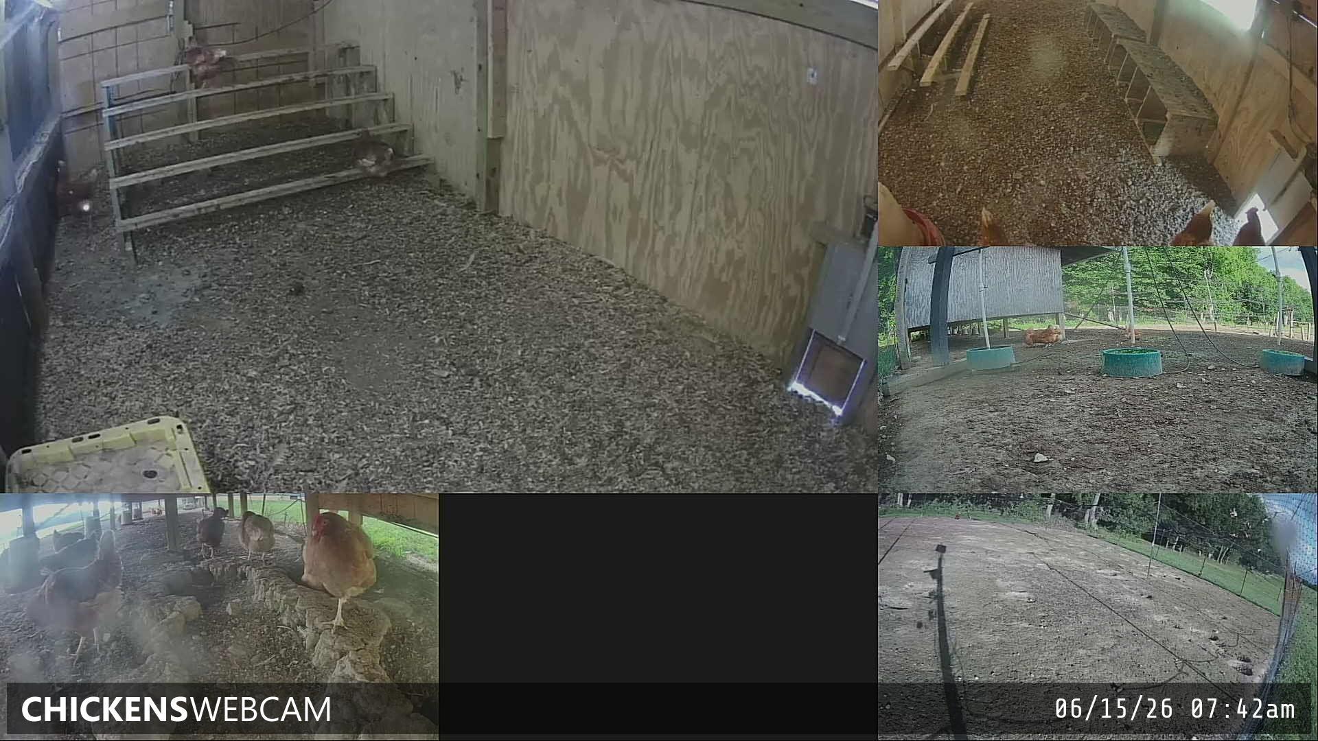 Twitch Stream Preview