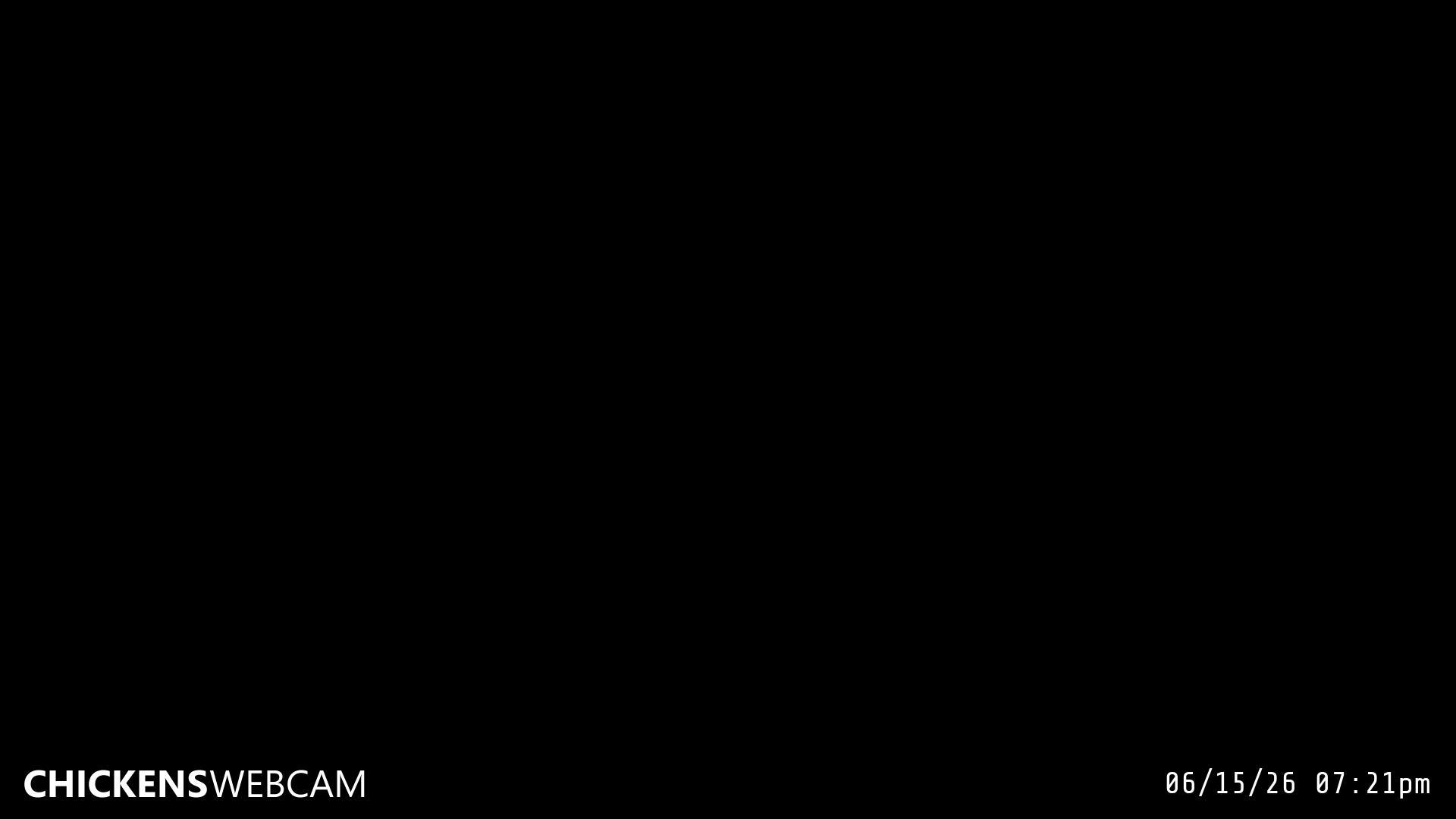 Twitch Stream Preview