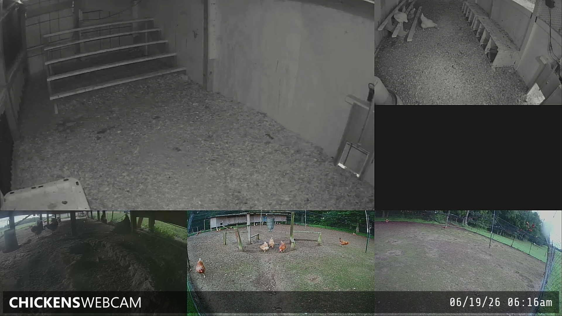 Twitch Stream Preview