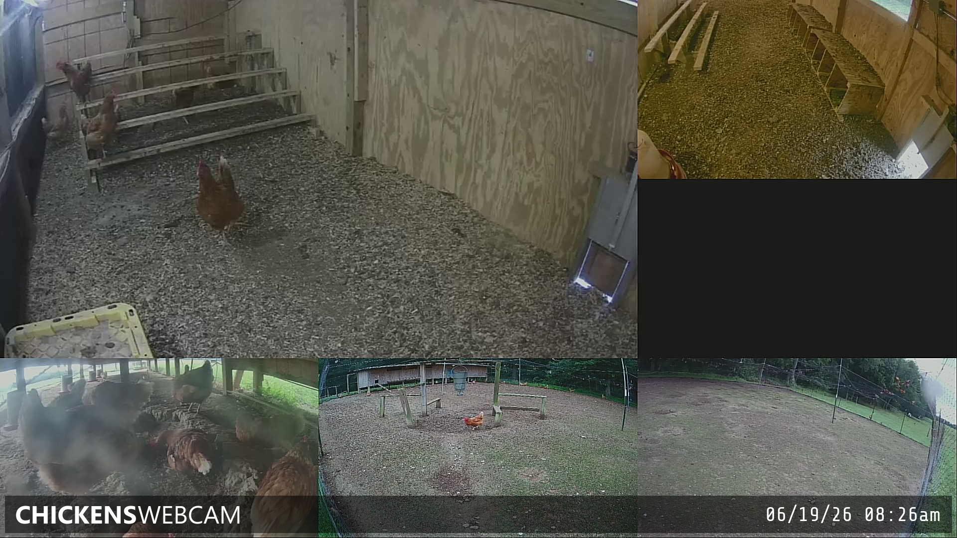 Twitch Stream Preview