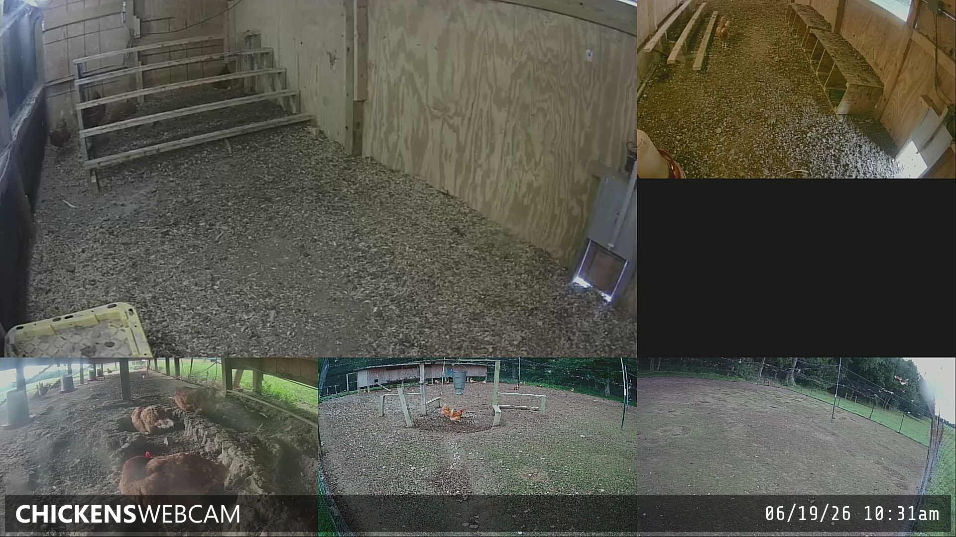 Twitch Stream Preview