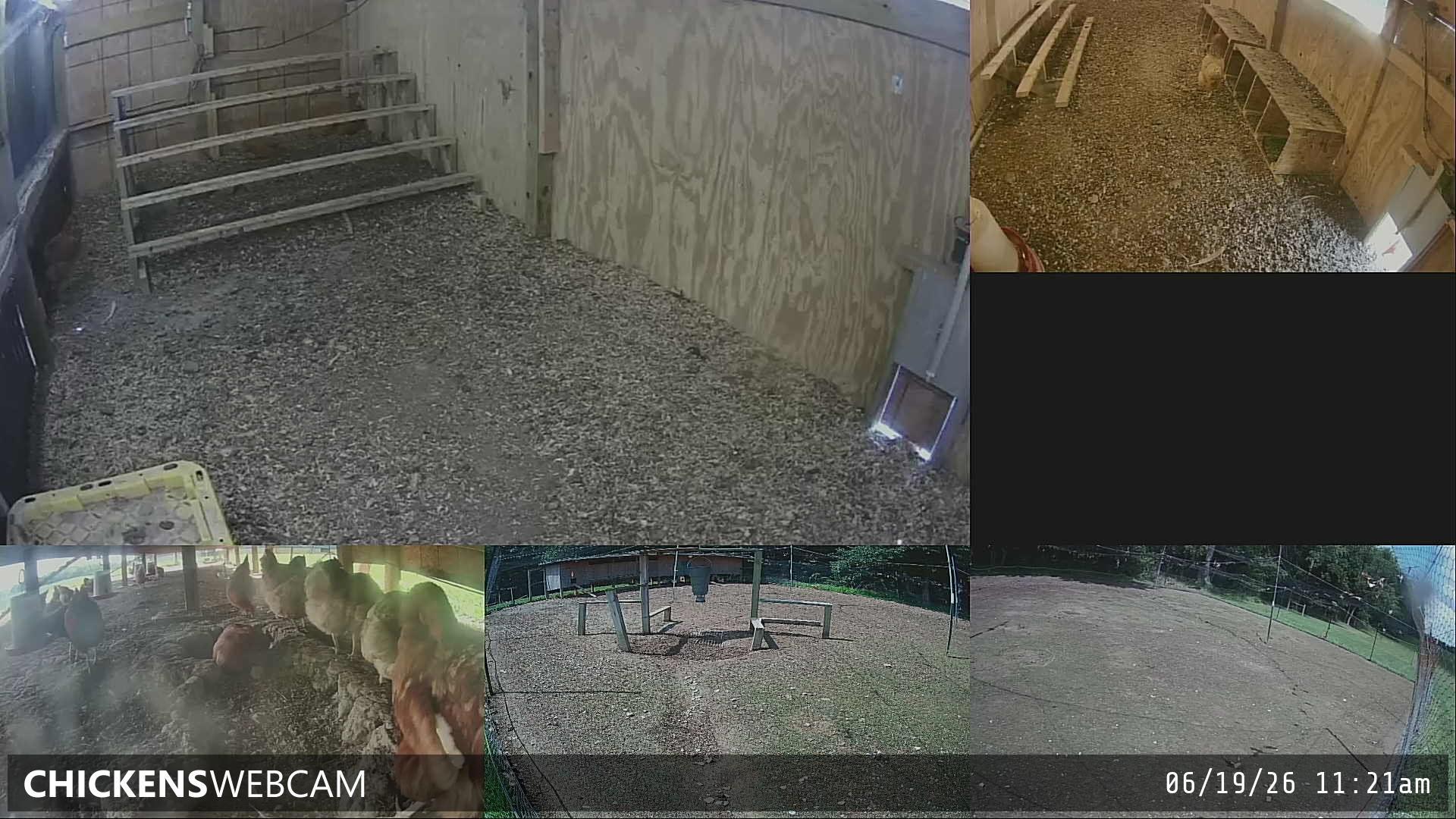 Twitch Stream Preview