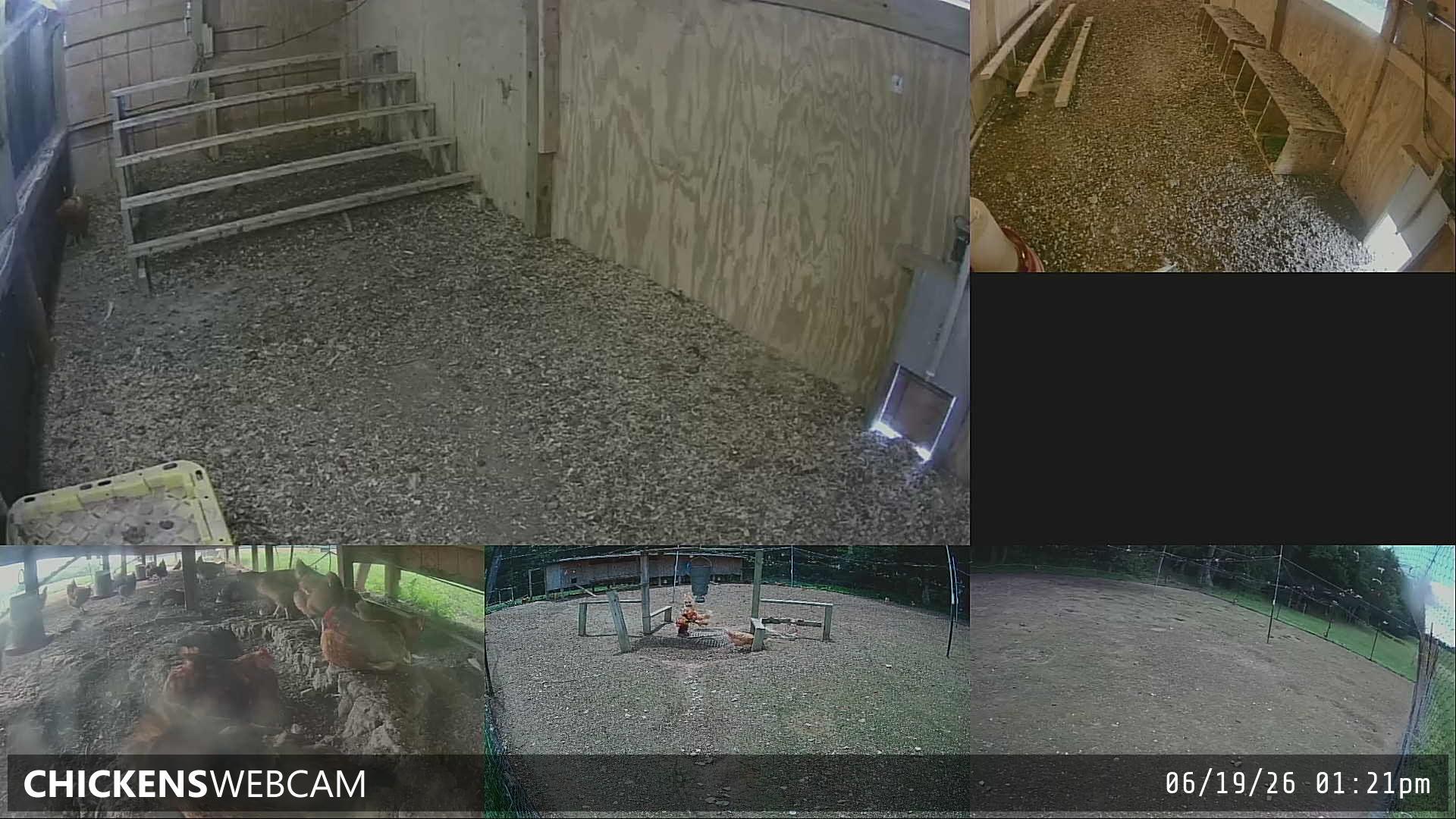Twitch Stream Preview