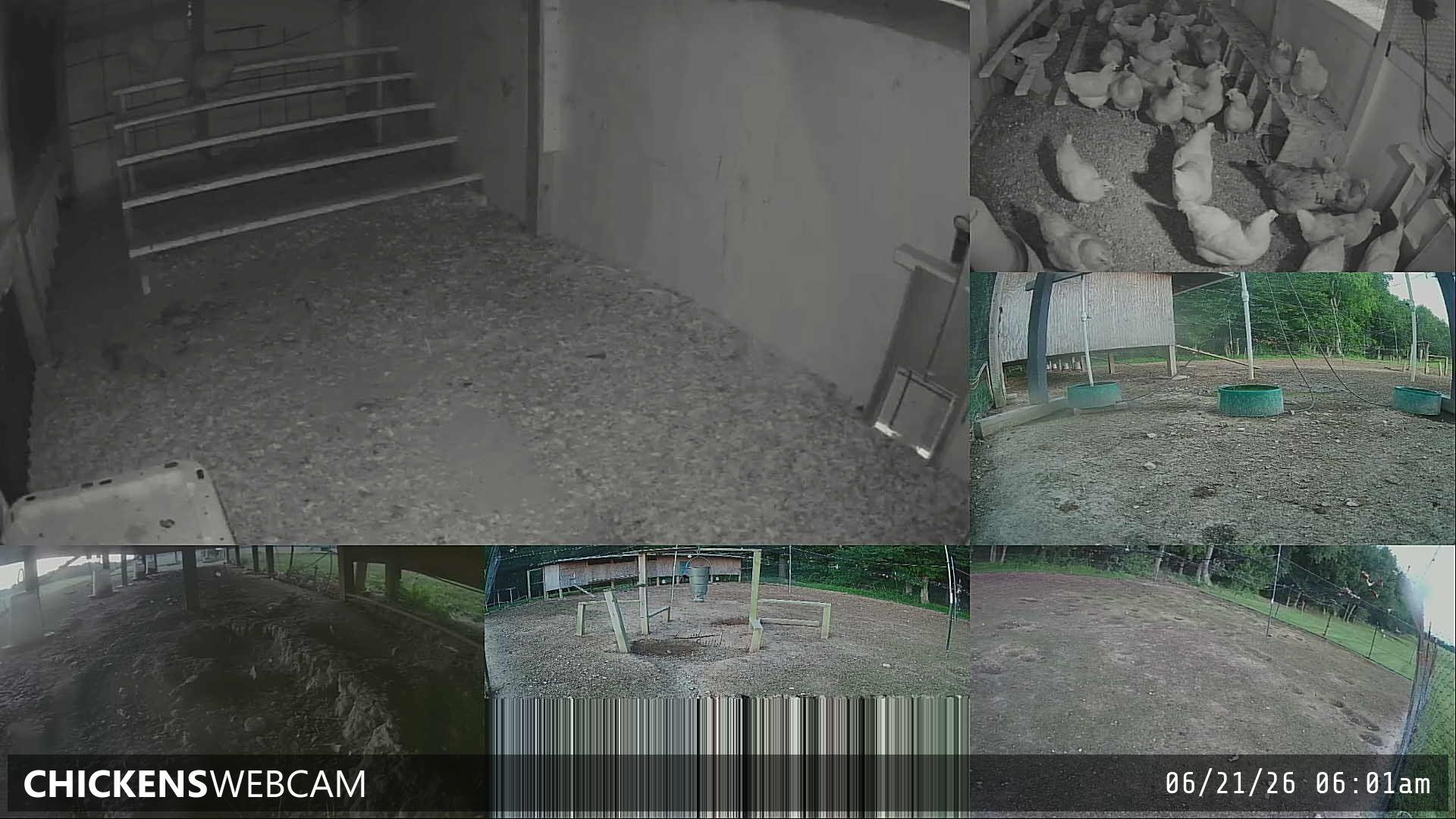 Twitch Stream Preview