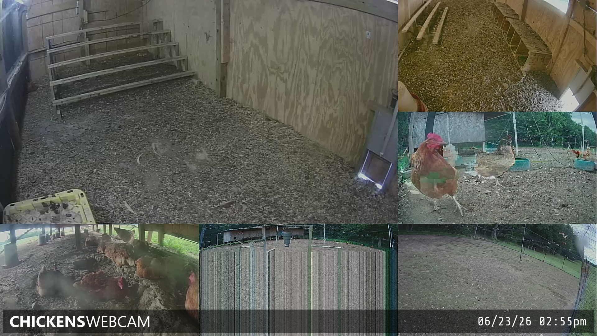 Twitch Stream Preview