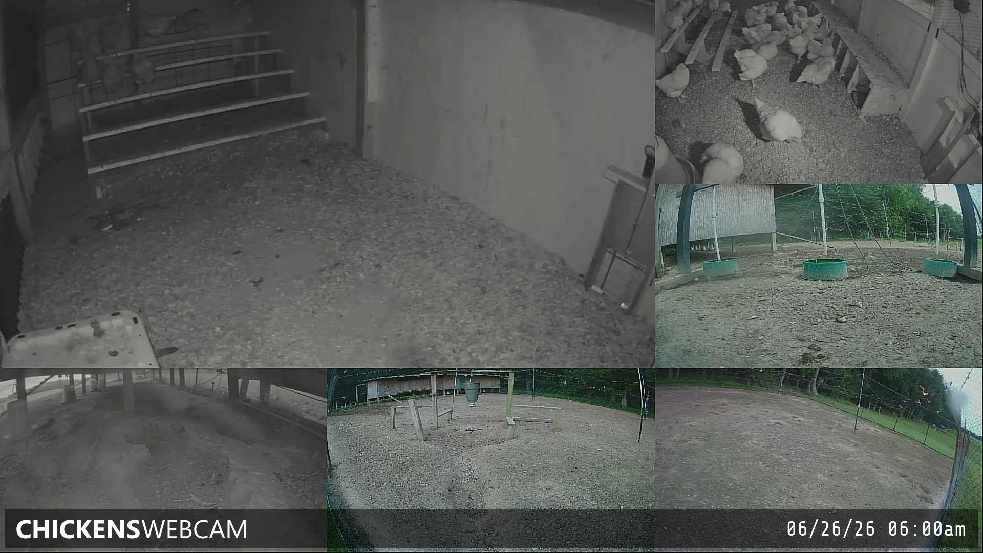 Twitch Stream Preview