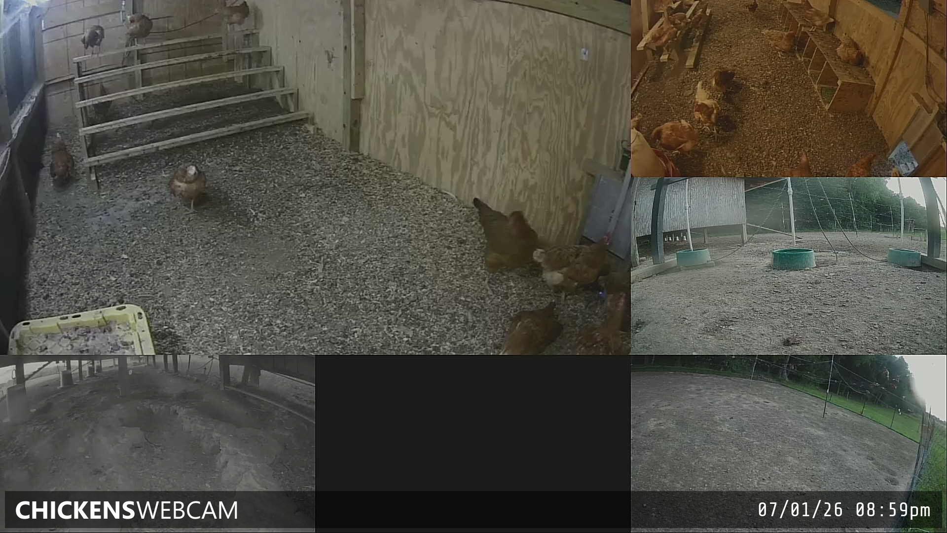 Twitch Stream Preview