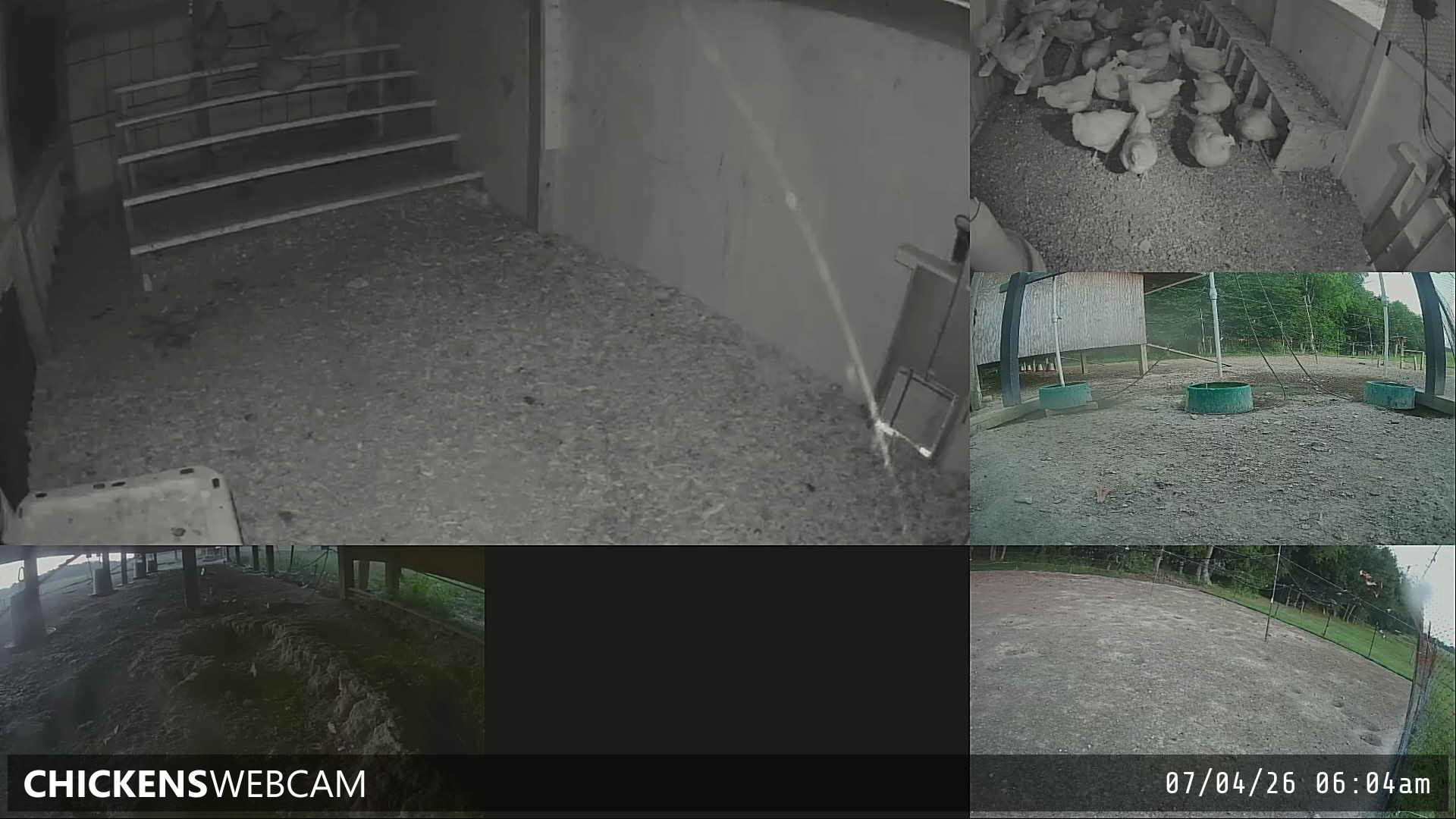 Twitch Stream Preview