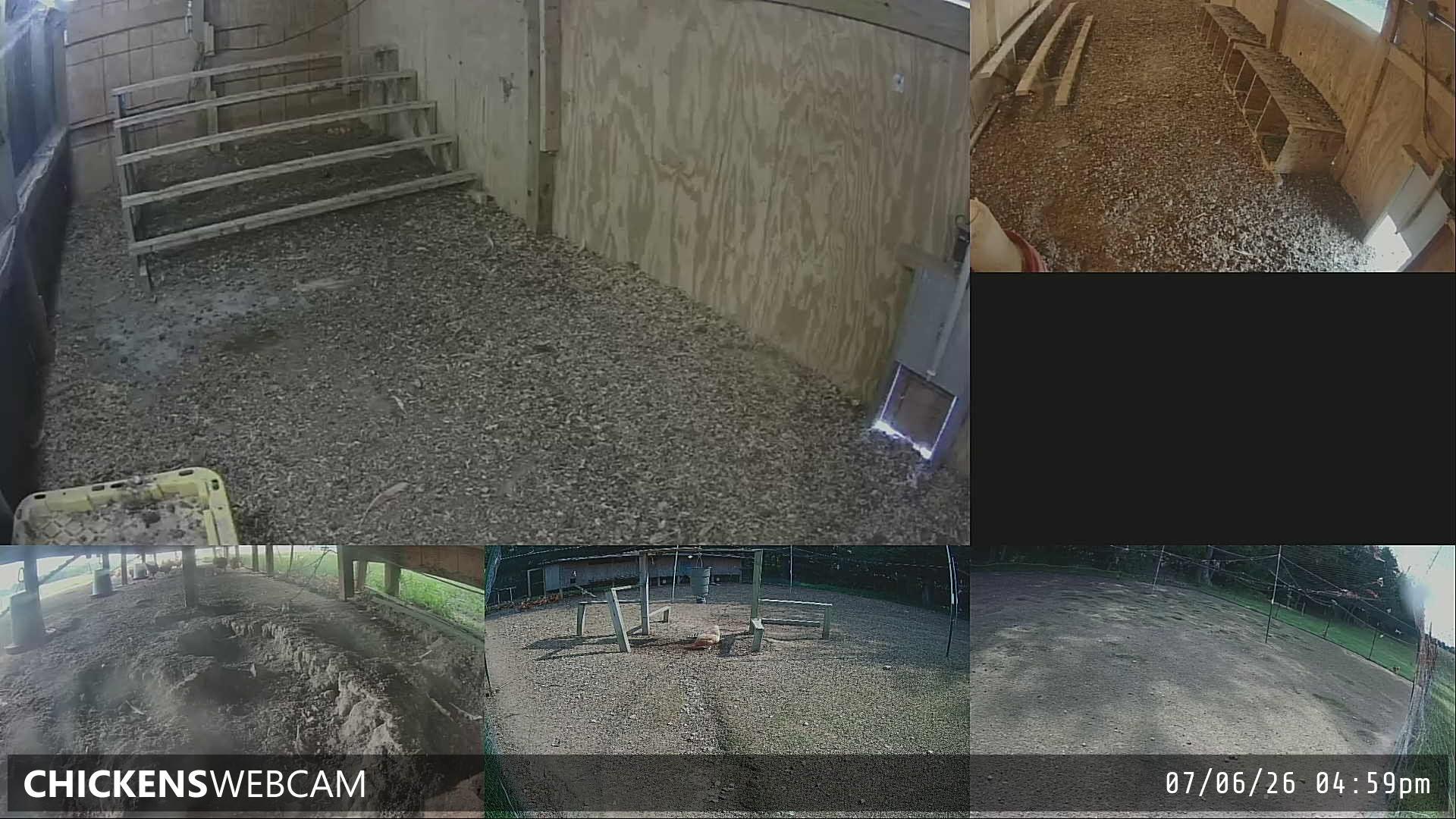 Twitch Stream Preview