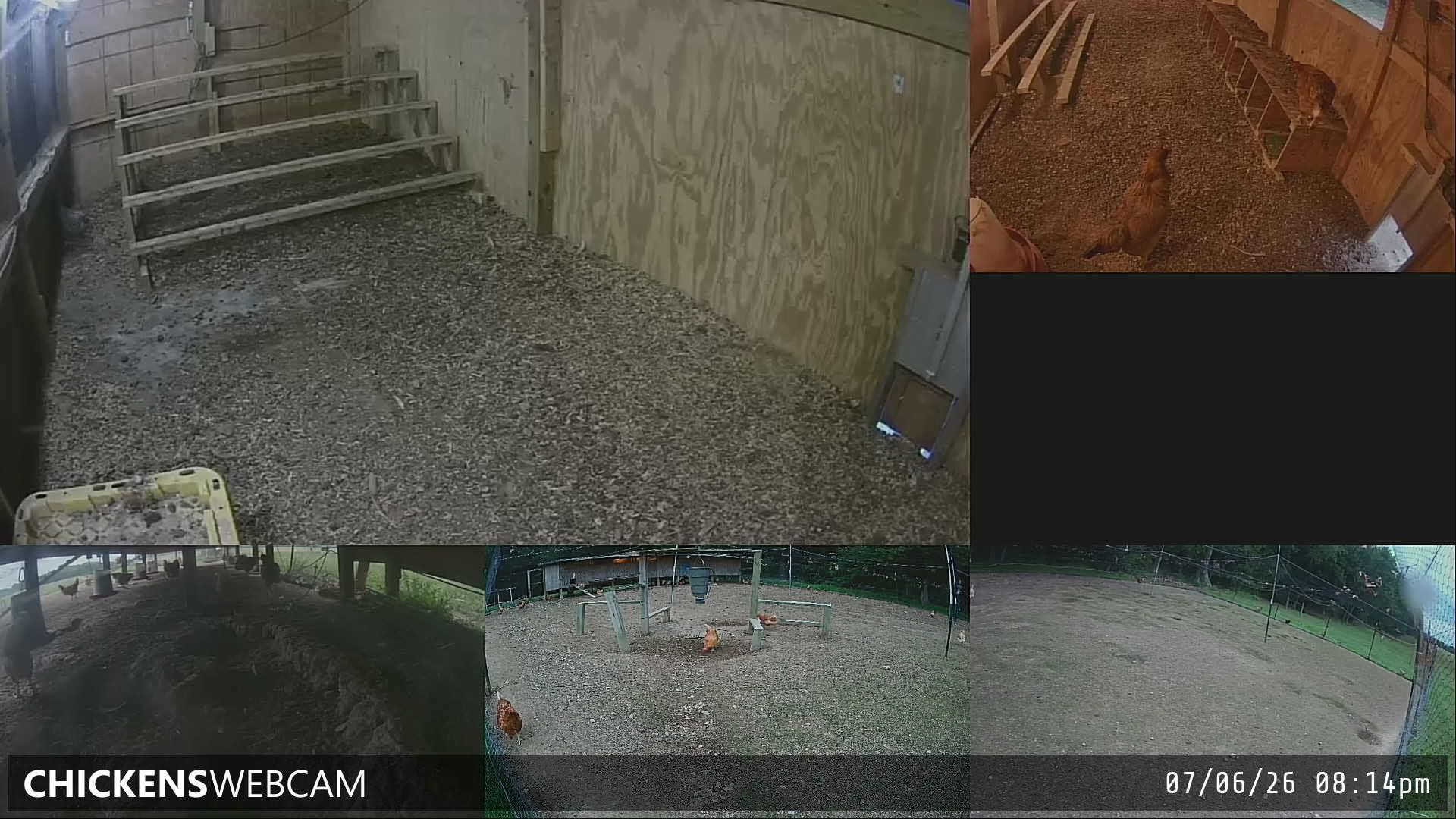 Twitch Stream Preview