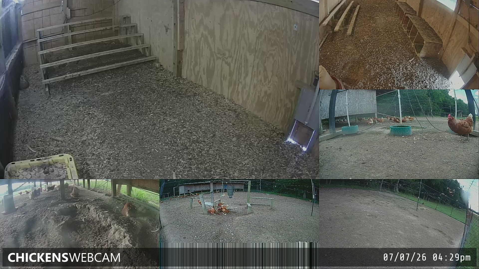 Twitch Stream Preview