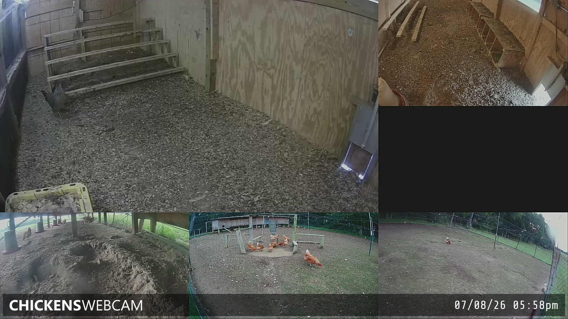 Twitch Stream Preview