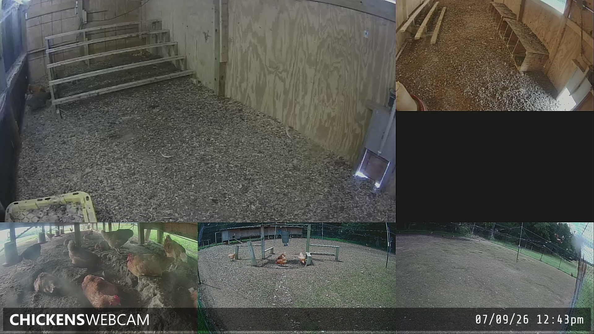 Twitch Stream Preview
