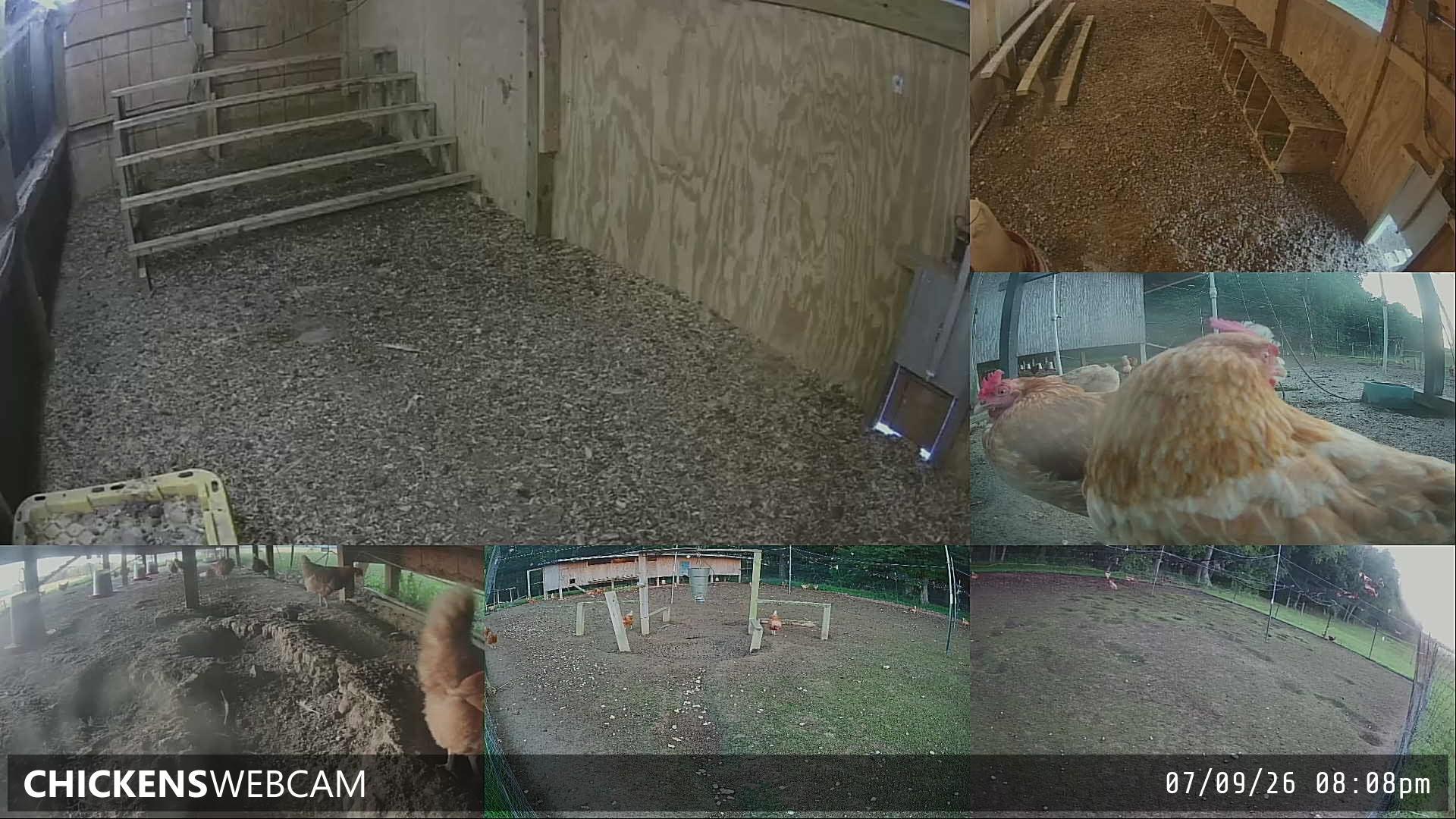 Twitch Stream Preview