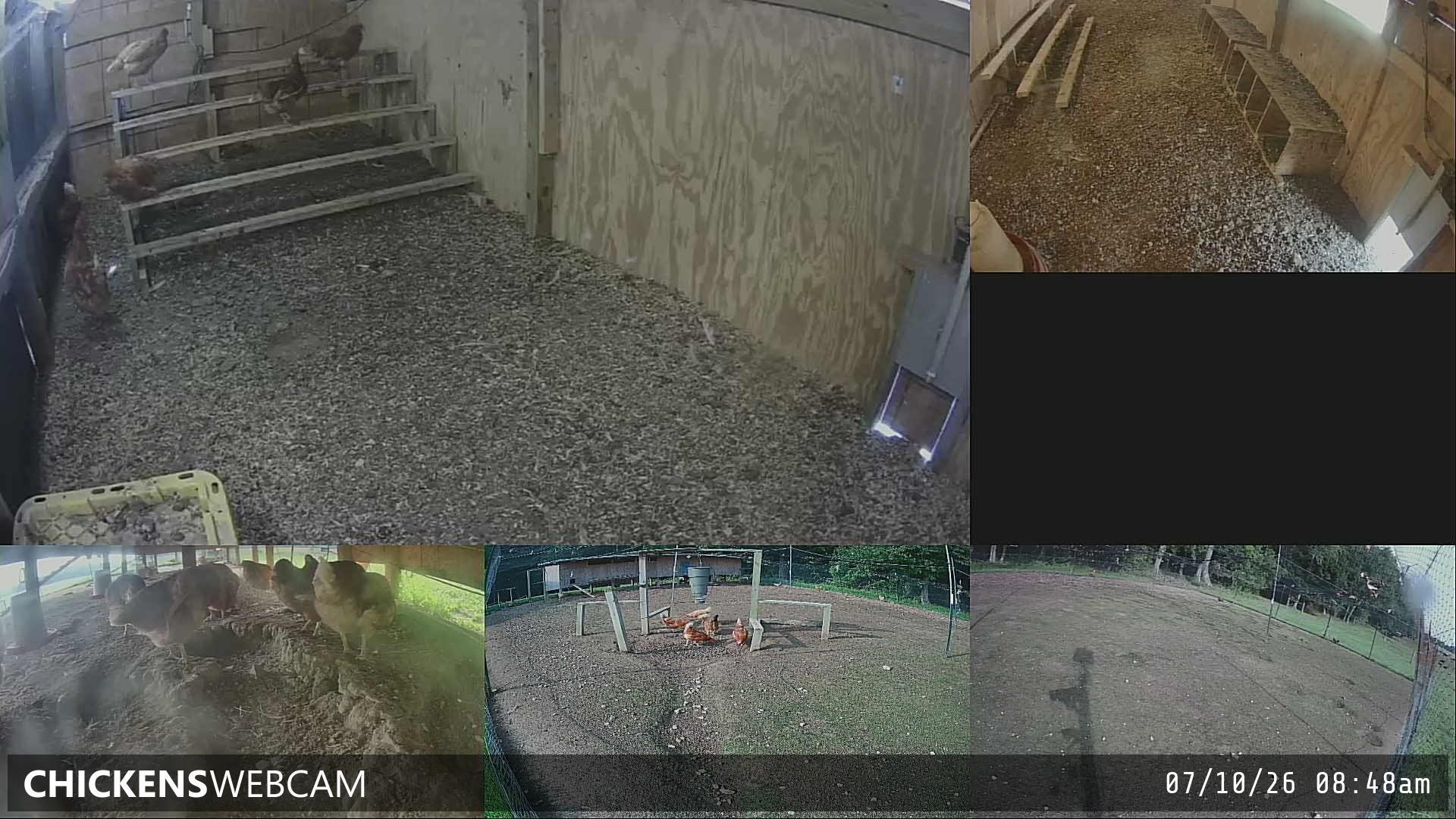 Twitch Stream Preview