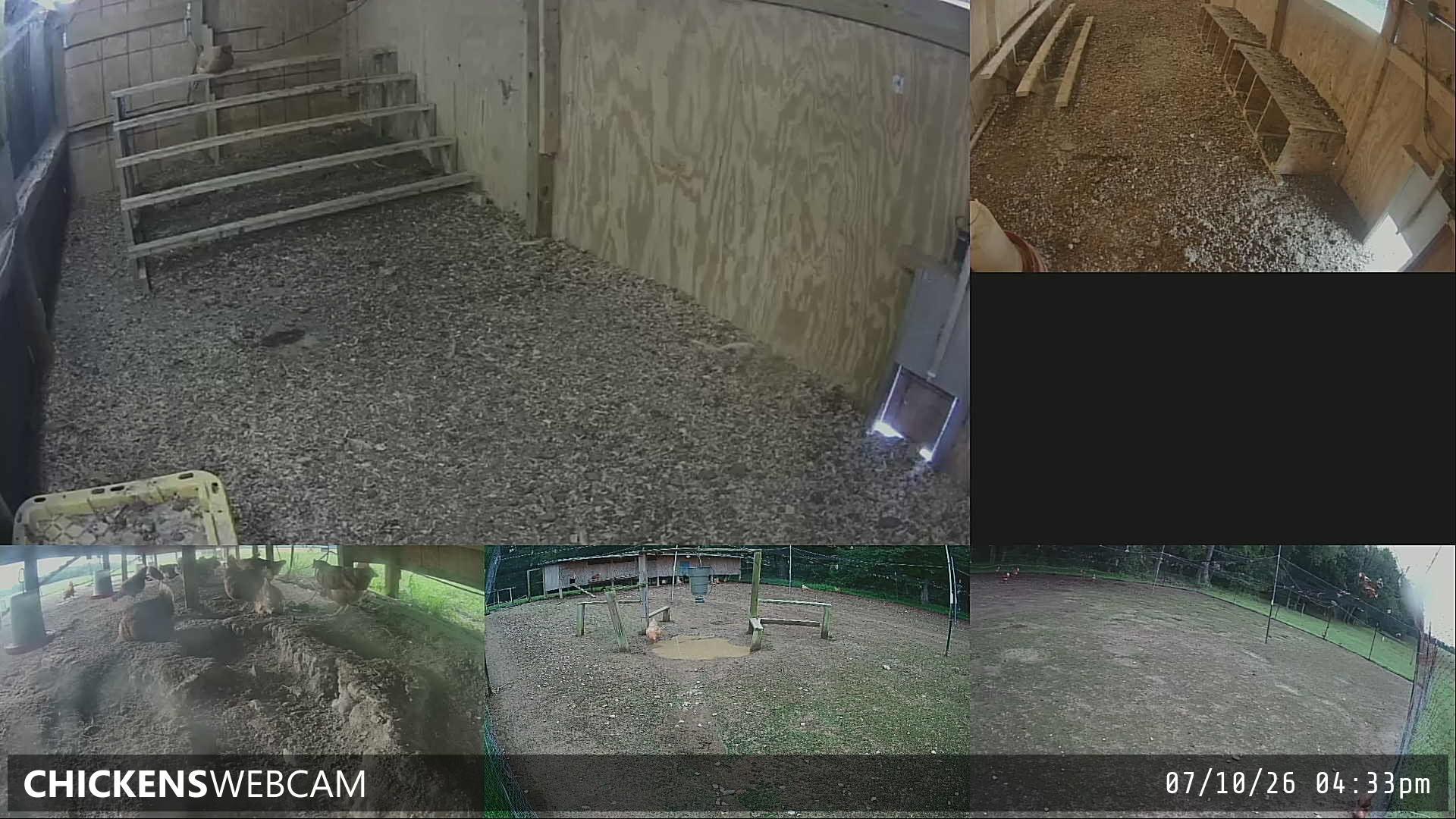 Twitch Stream Preview