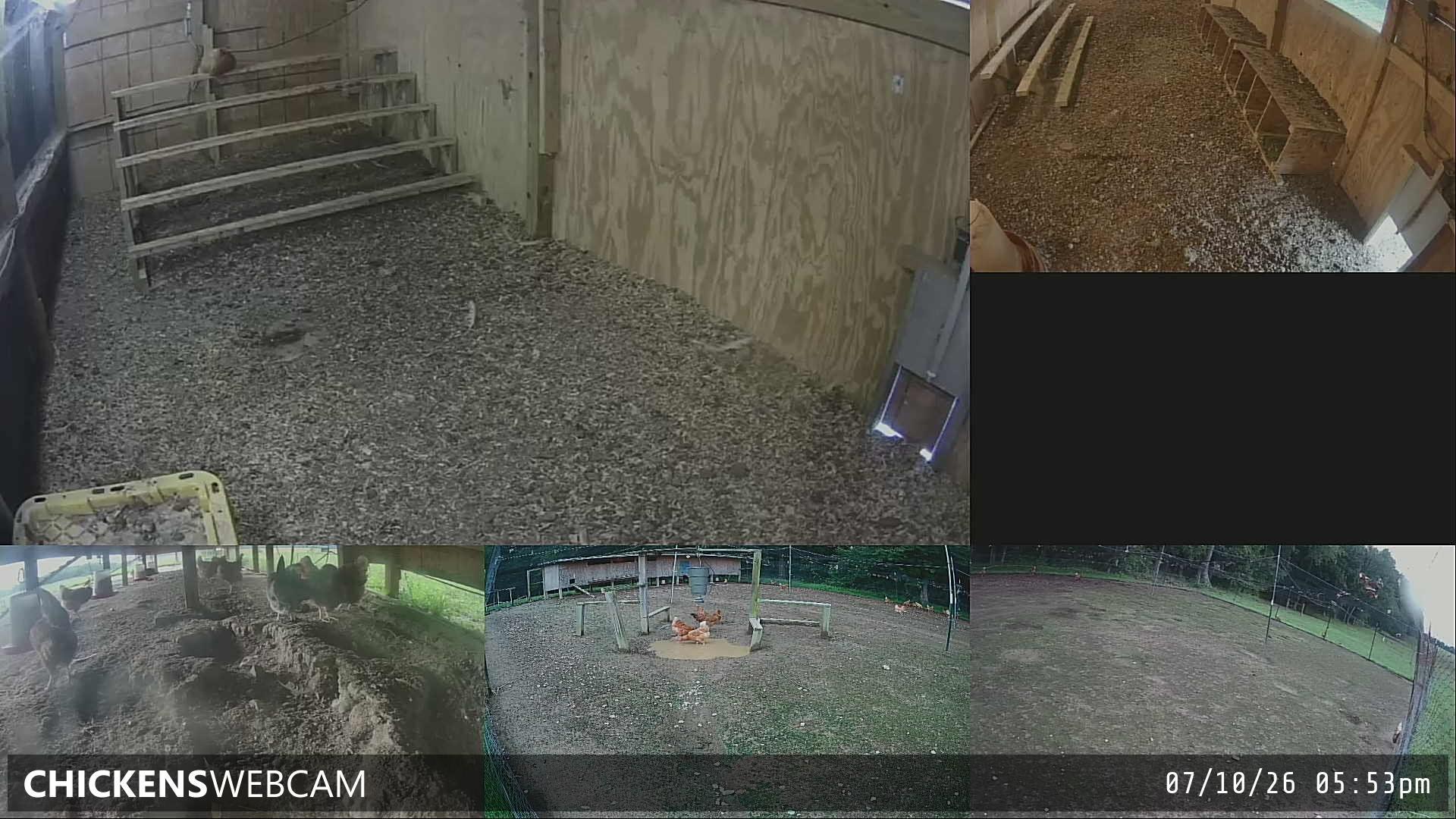 Twitch Stream Preview