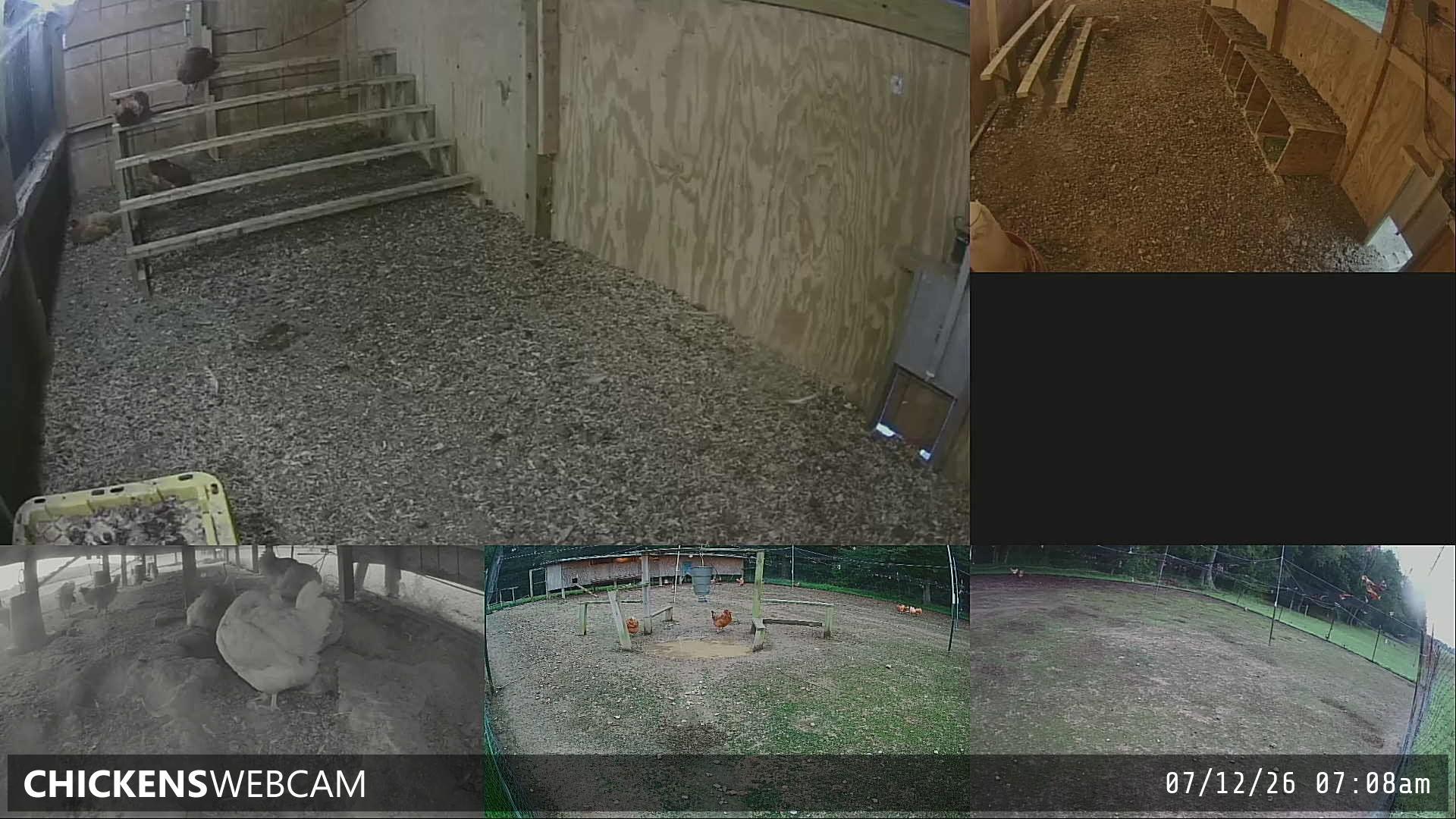 Twitch Stream Preview