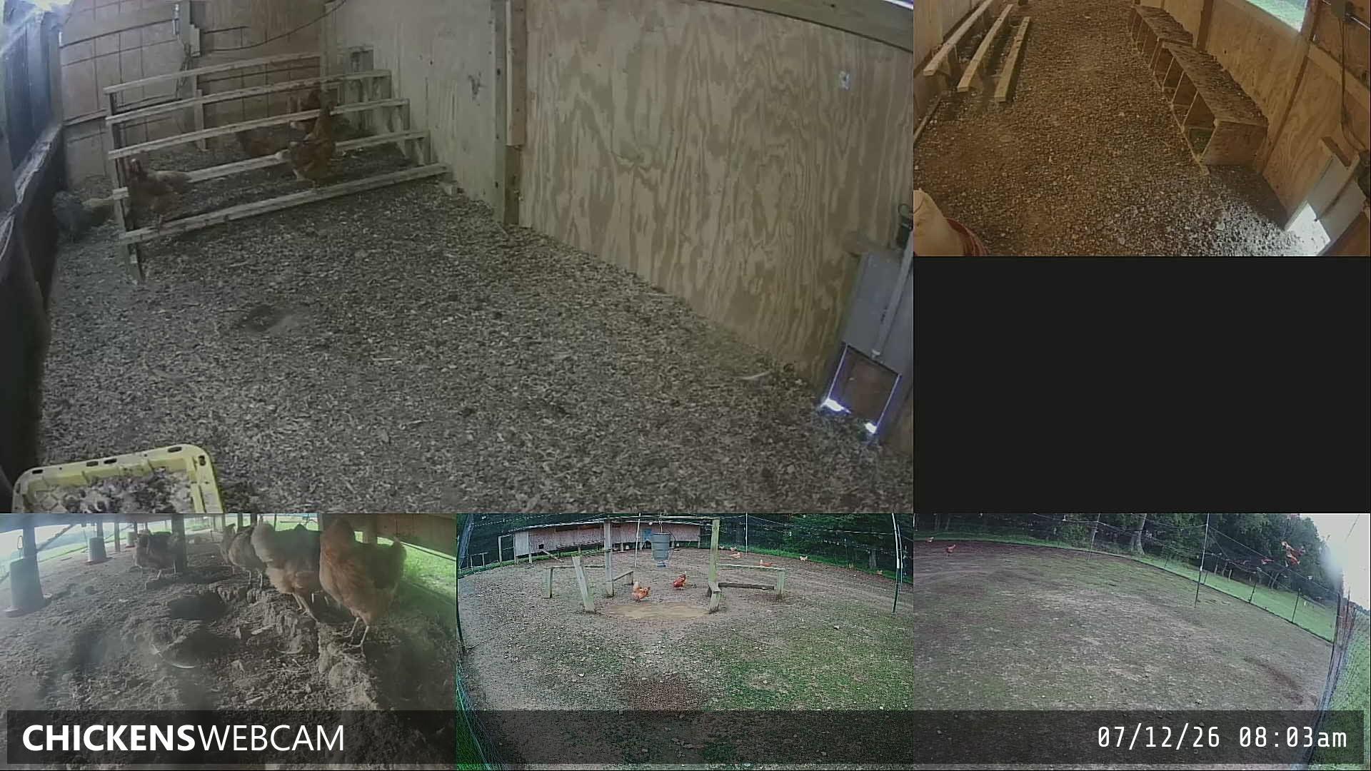 Twitch Stream Preview