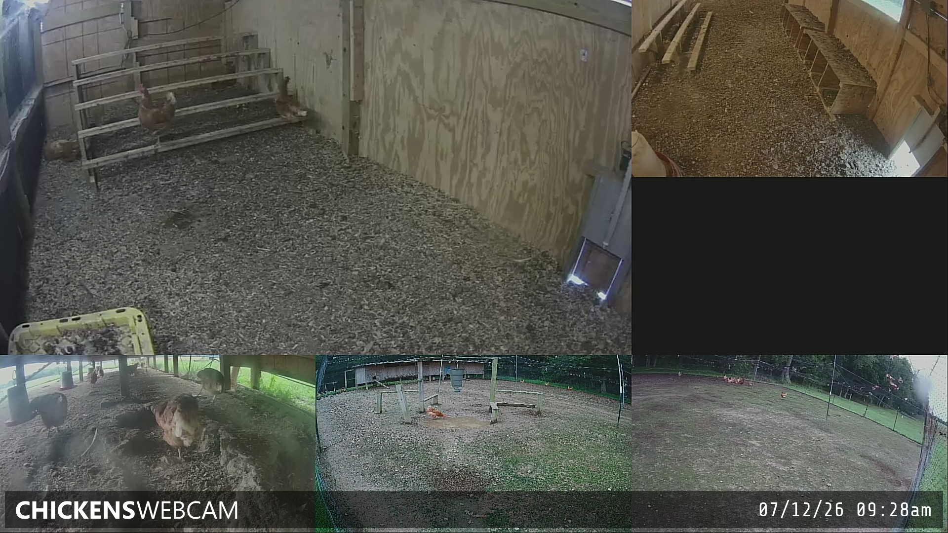 Twitch Stream Preview