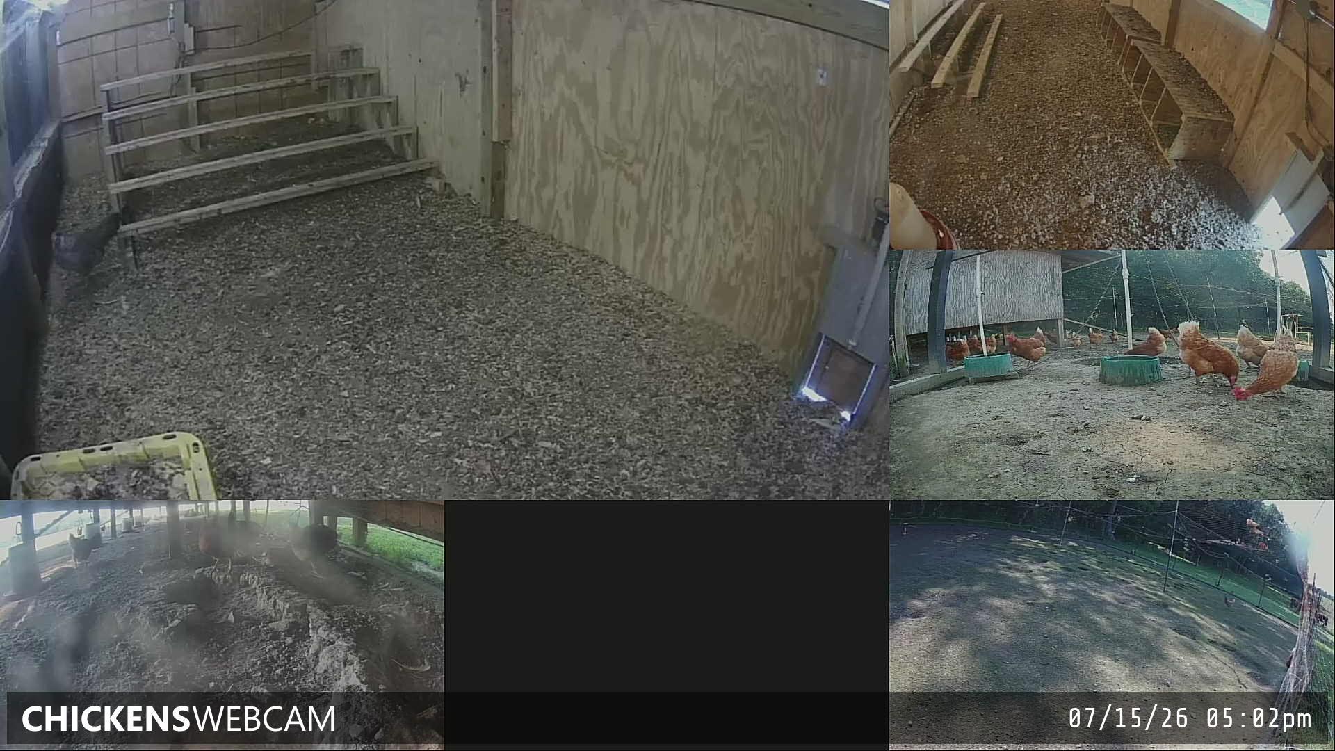 Twitch Stream Preview