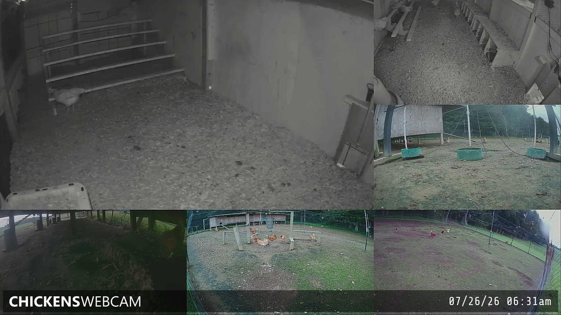 Twitch Stream Preview