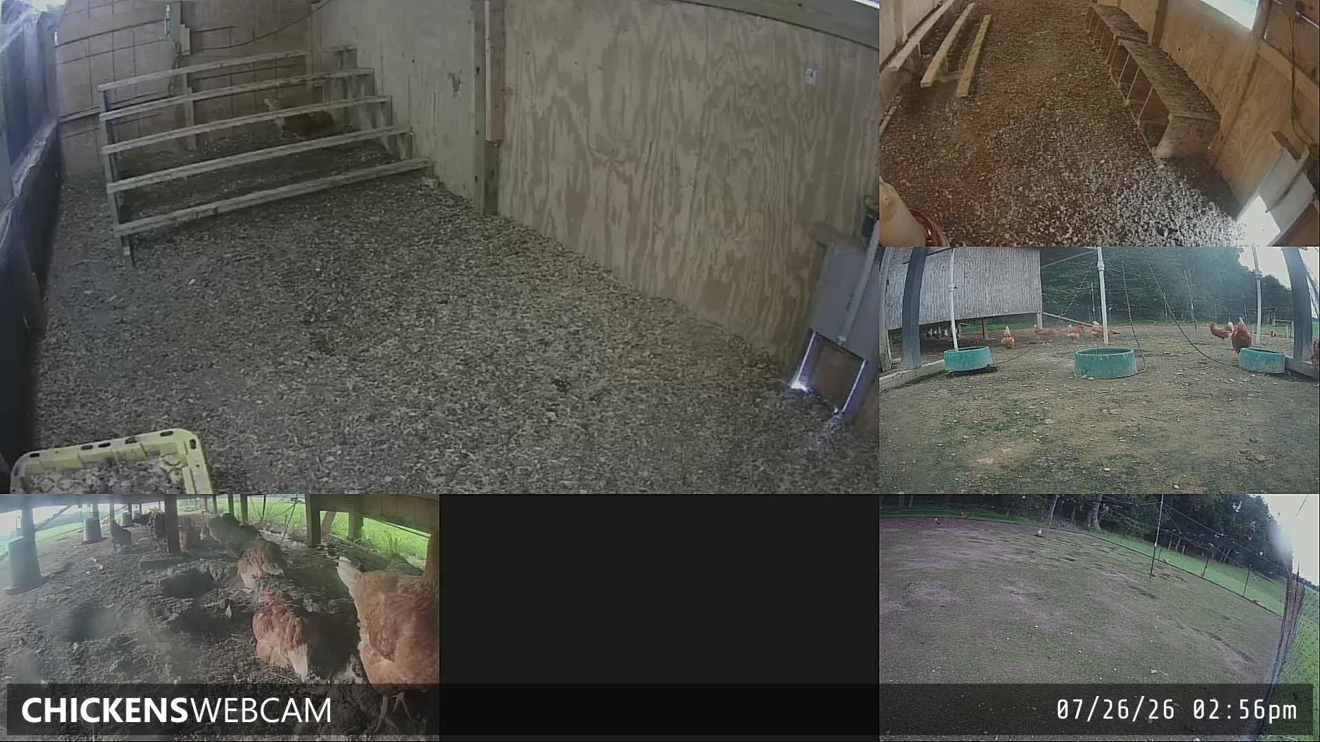 Twitch Stream Preview