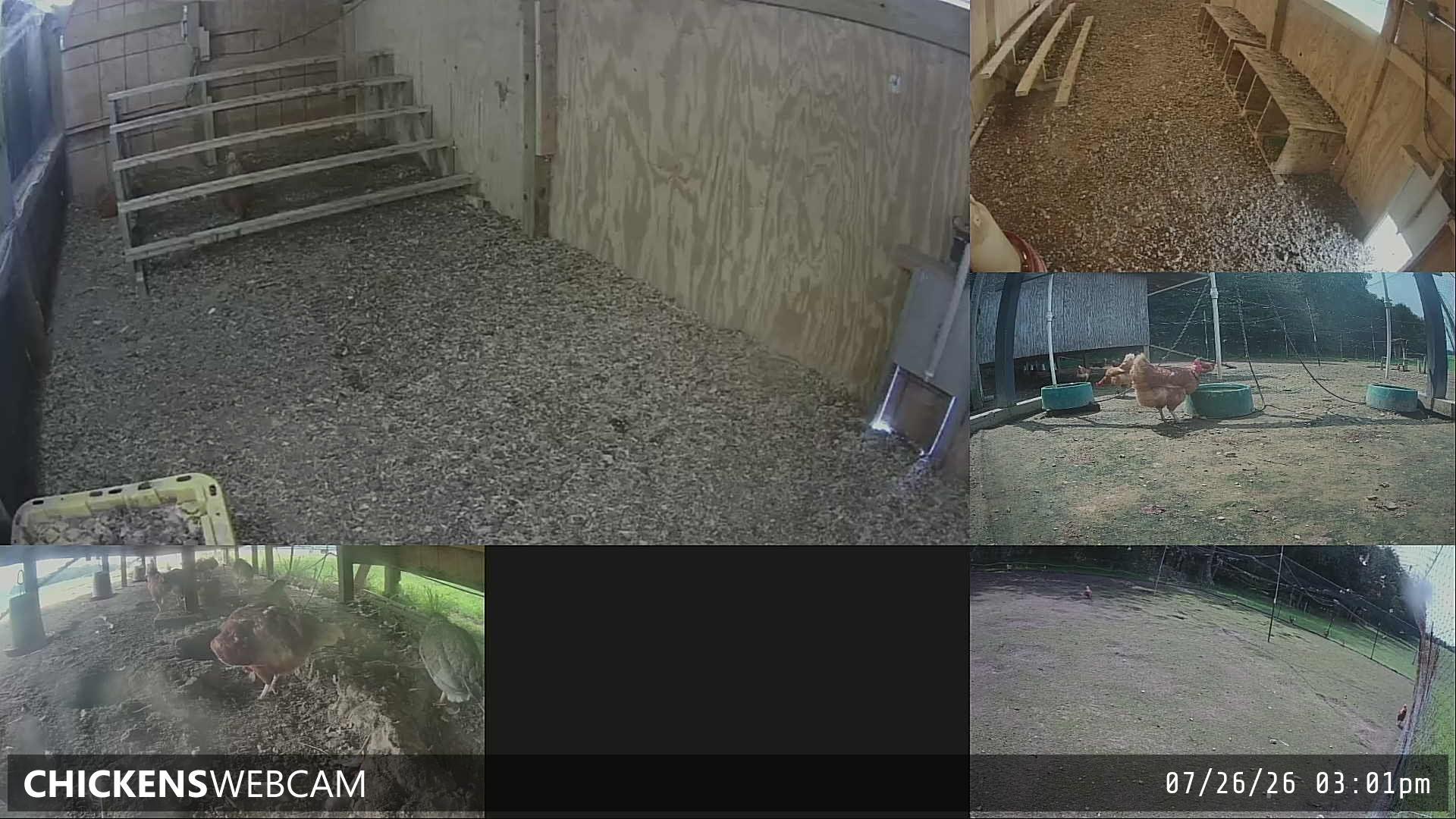 Twitch Stream Preview