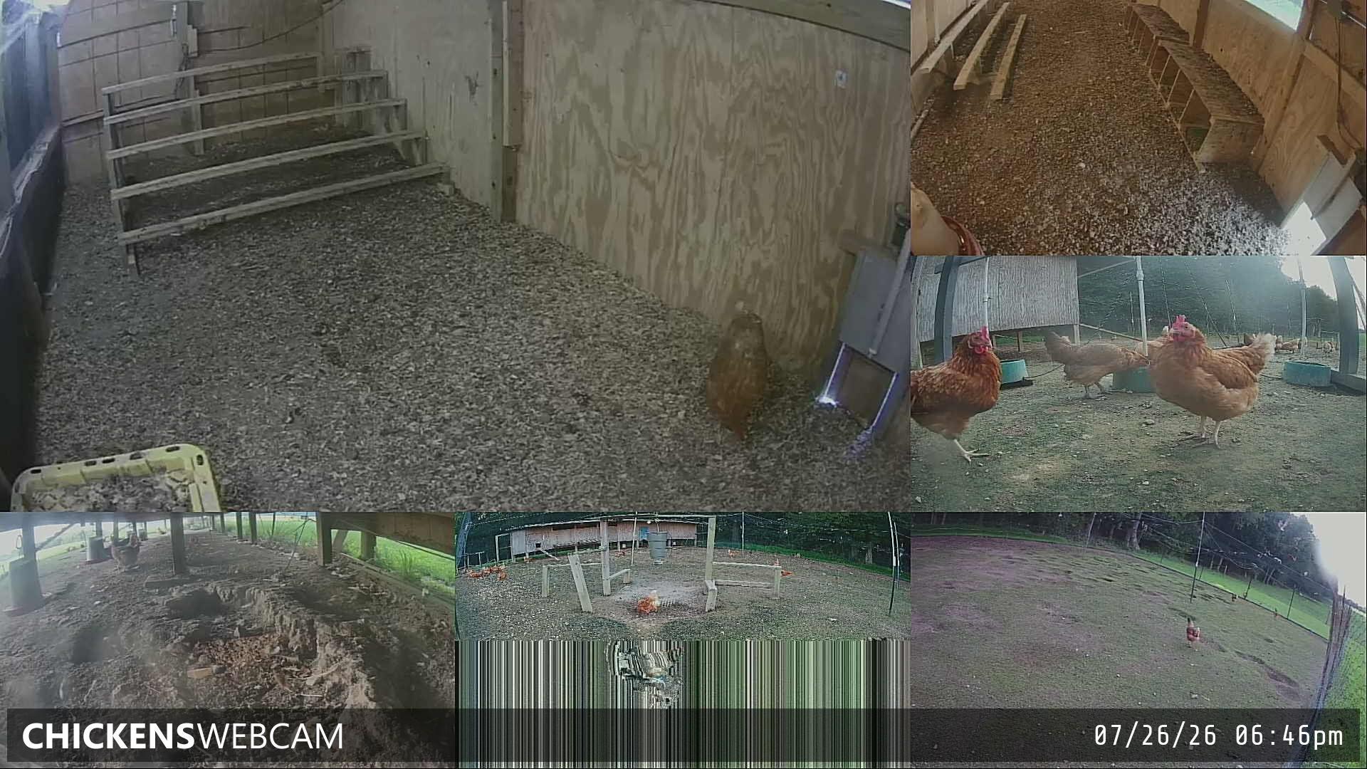 Twitch Stream Preview