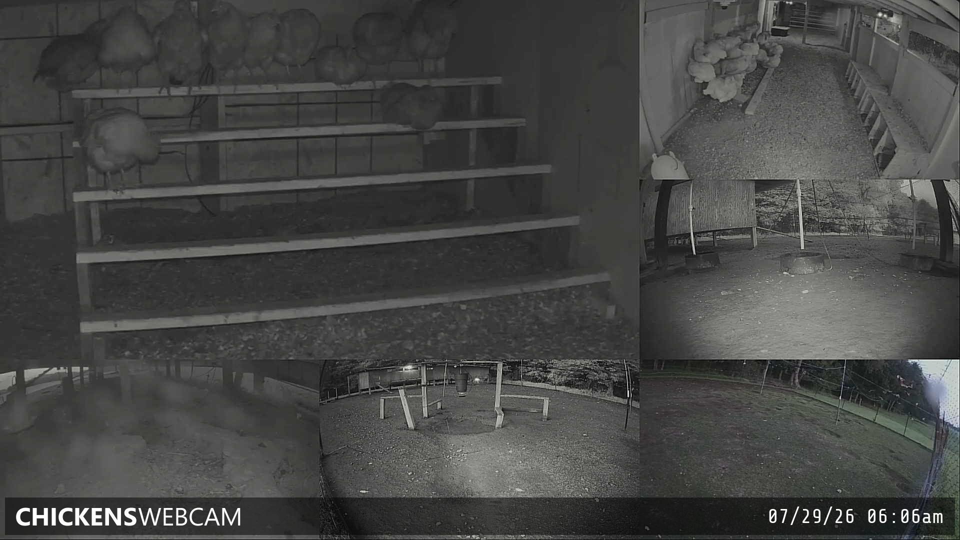 Twitch Stream Preview