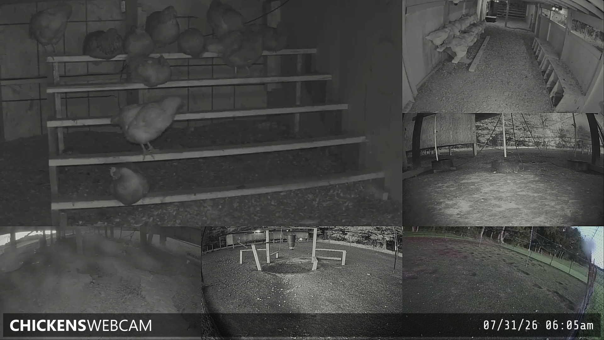 Twitch Stream Preview