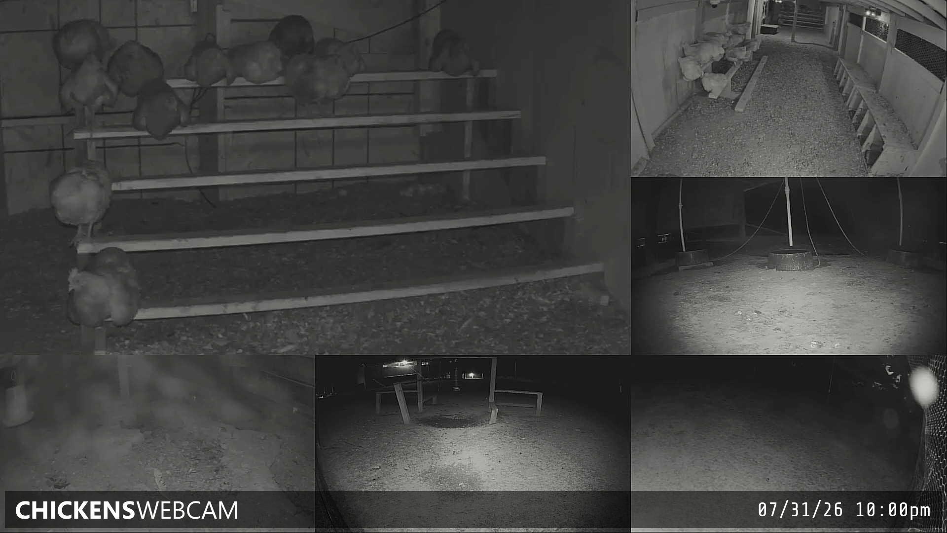Twitch Stream Preview