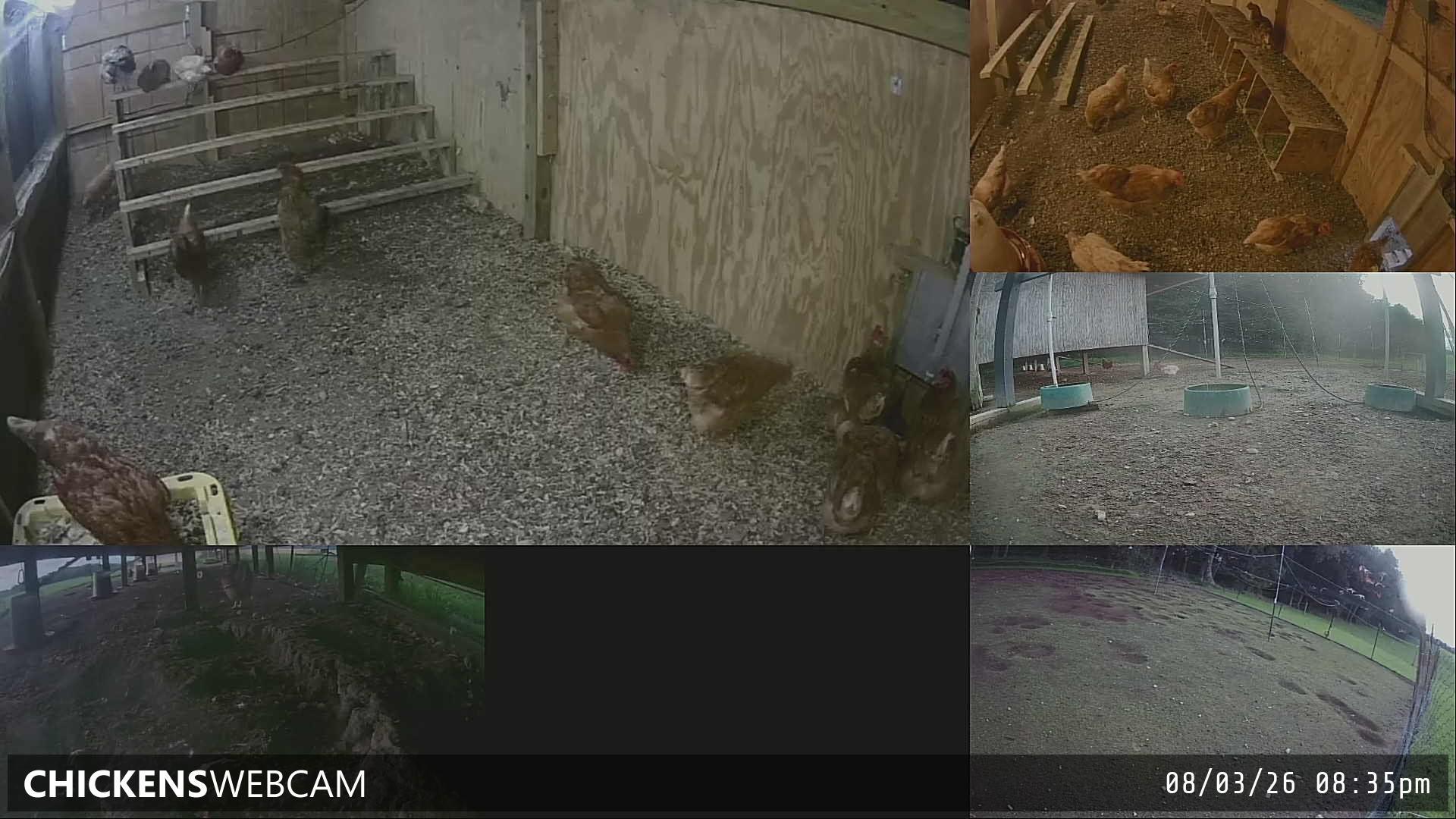 Twitch Stream Preview