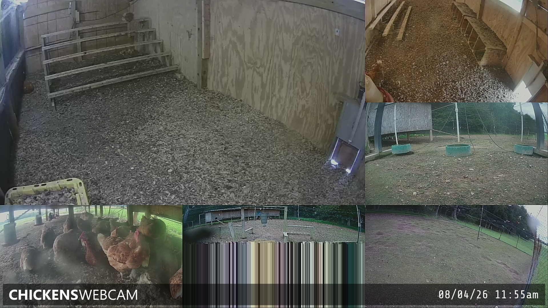 Twitch Stream Preview
