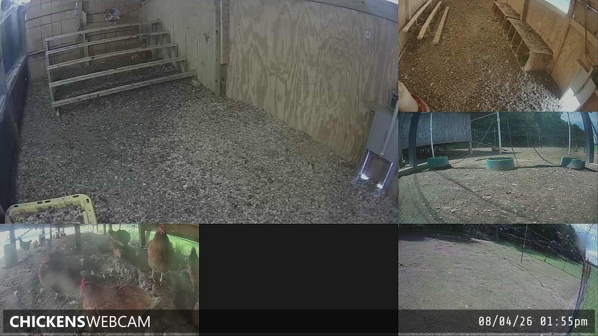 Twitch Stream Preview