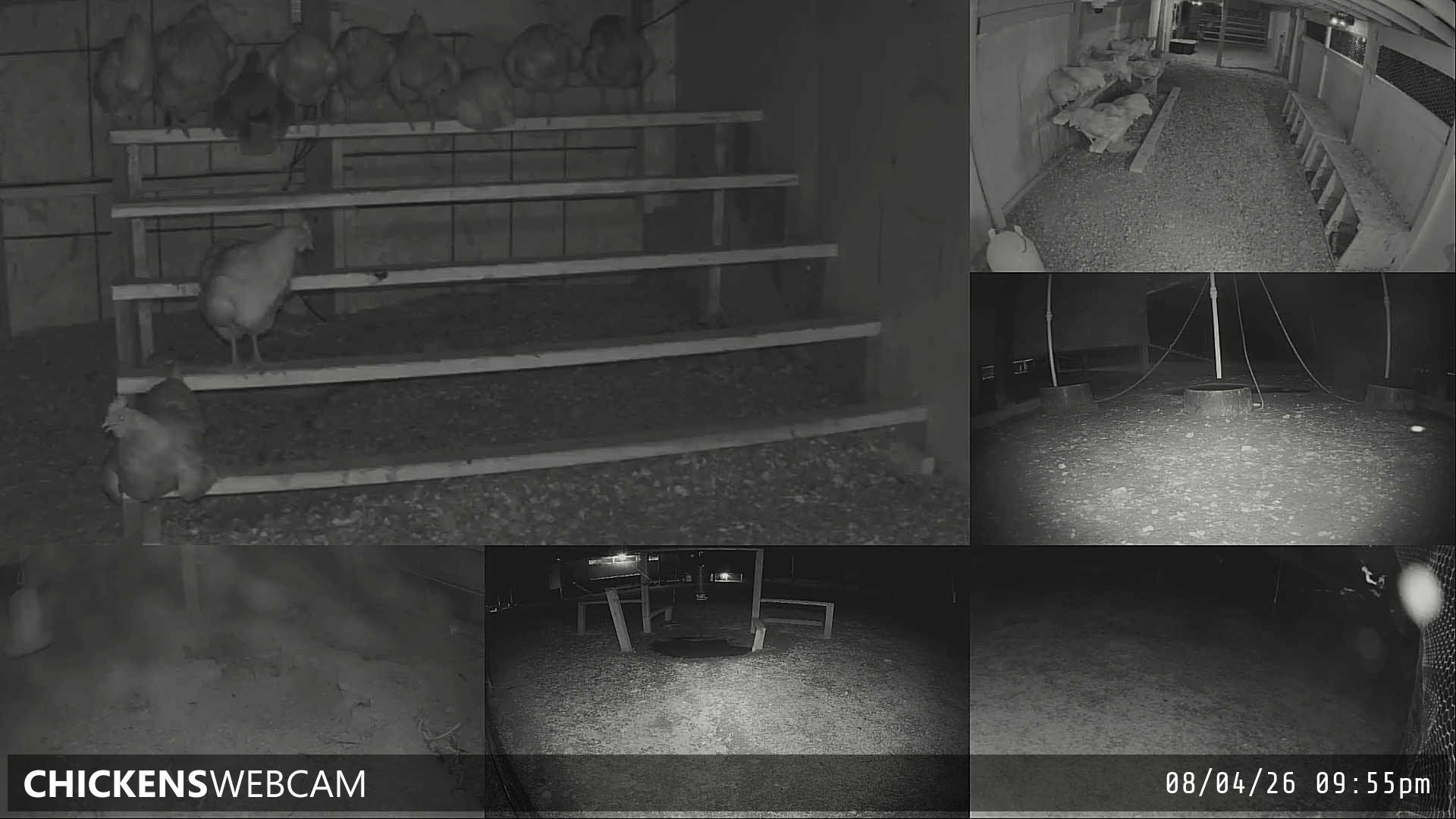 Twitch Stream Preview