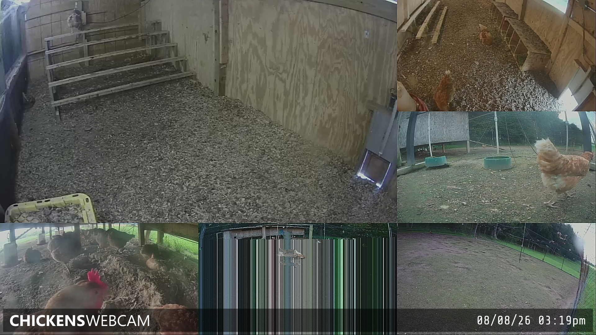 Twitch Stream Preview