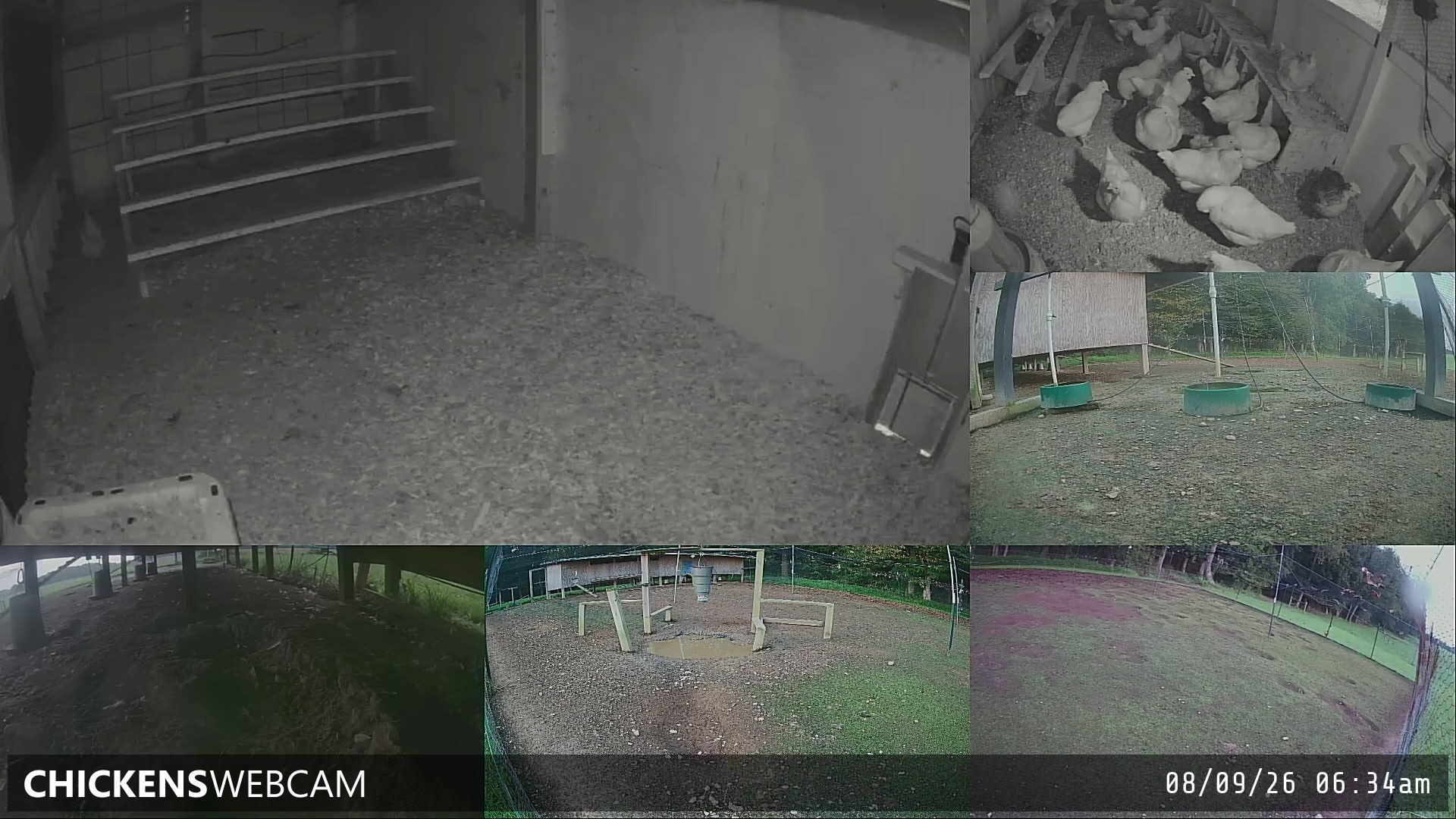 Twitch Stream Preview