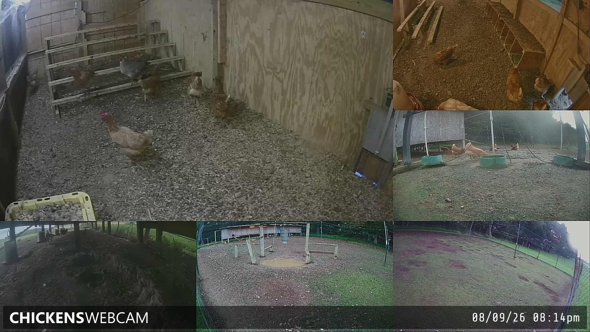 Twitch Stream Preview