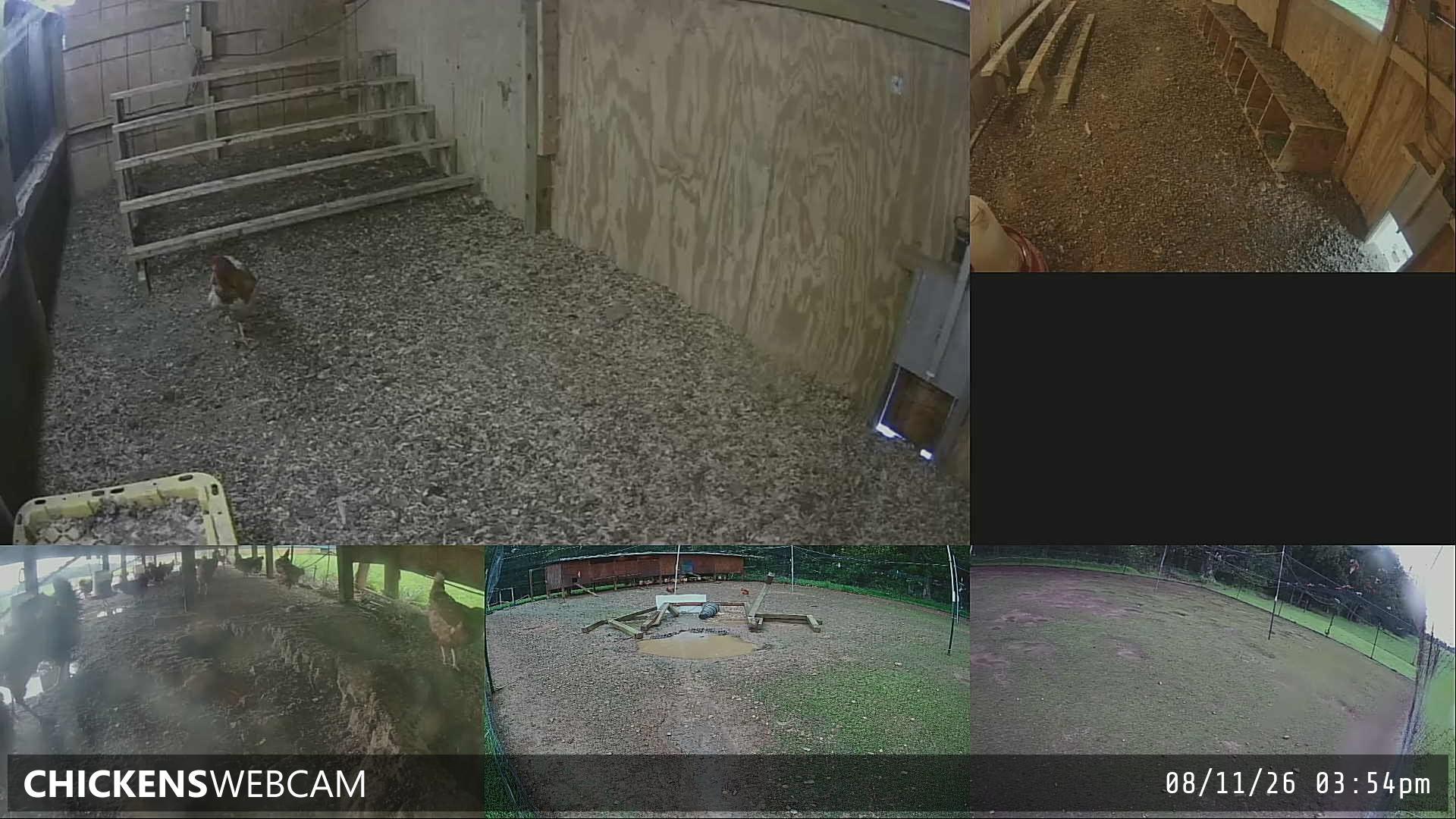 Twitch Stream Preview