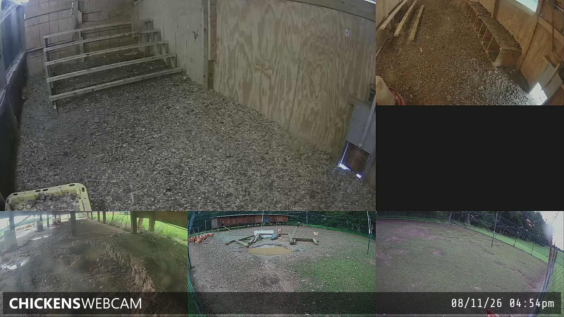 Twitch Stream Preview