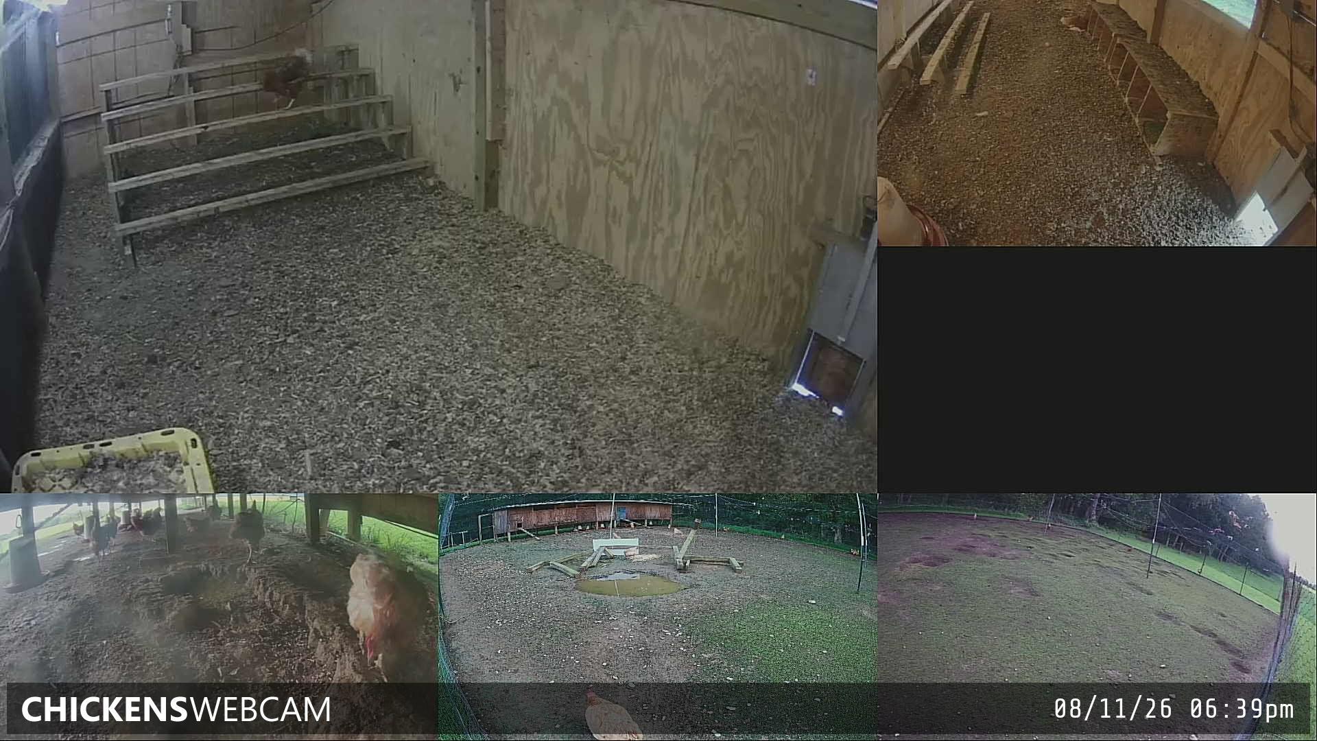 Twitch Stream Preview