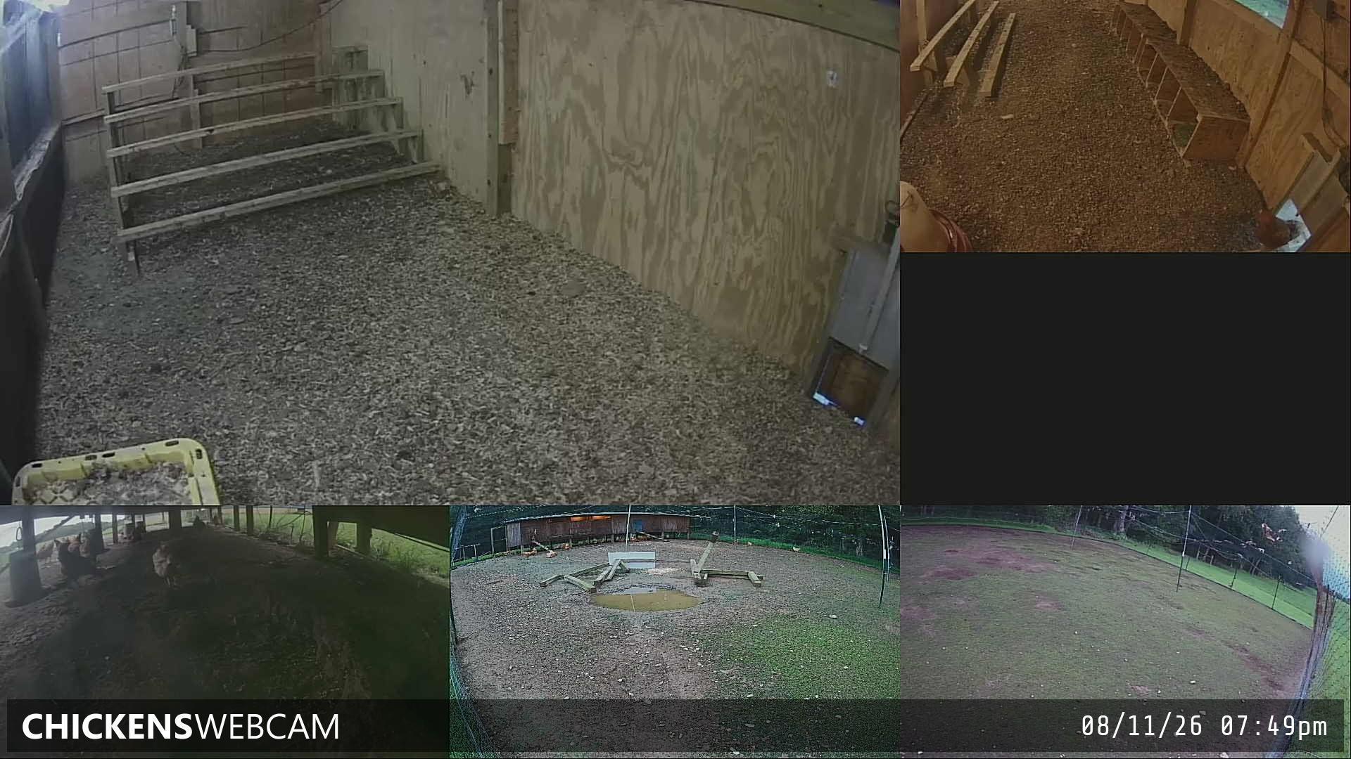 Twitch Stream Preview