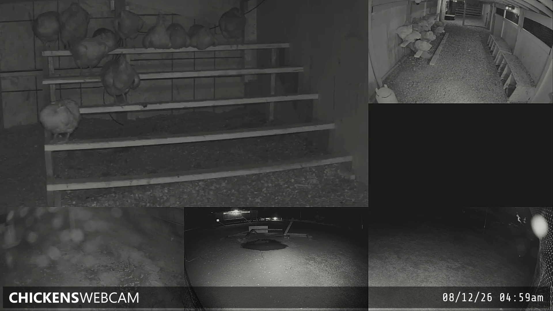 Twitch Stream Preview
