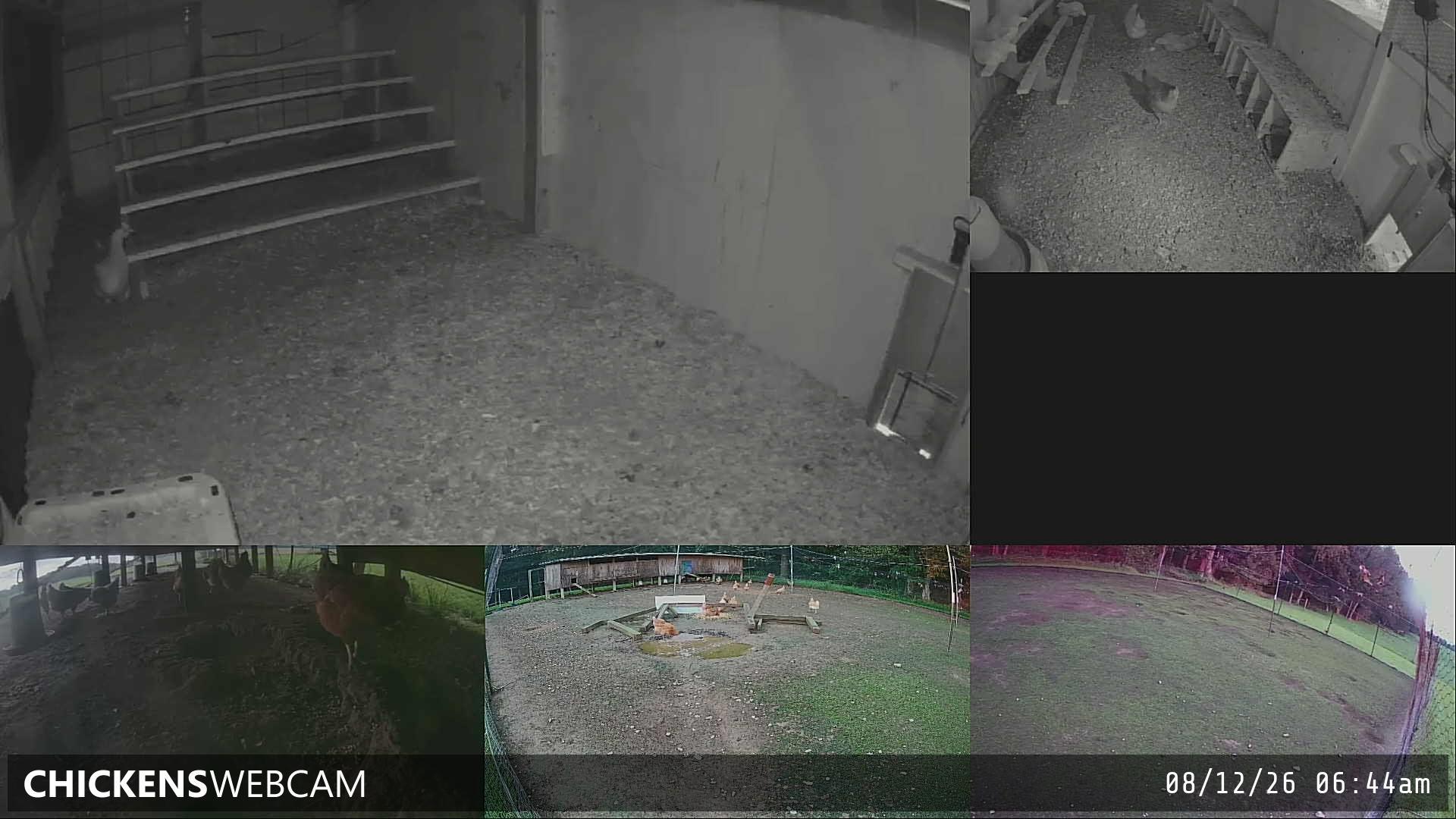 Twitch Stream Preview