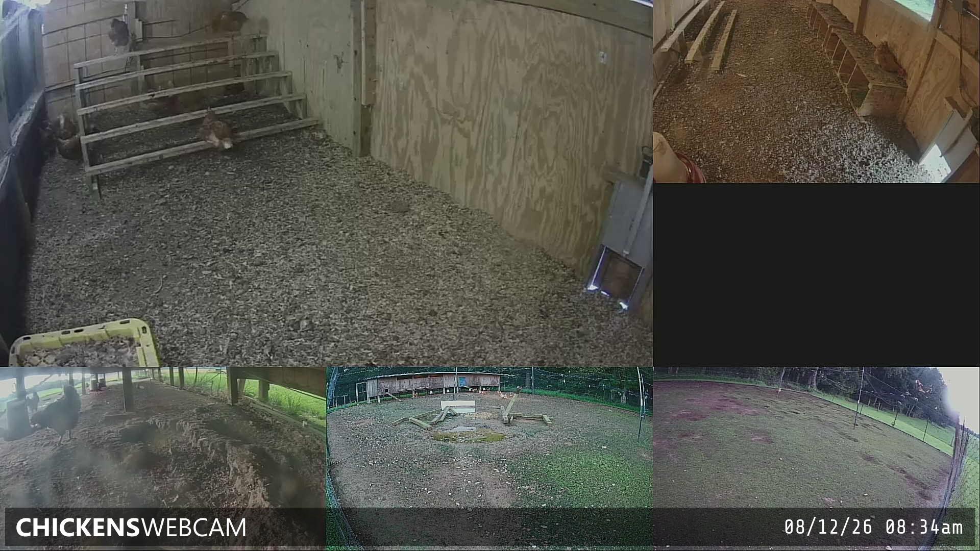 Twitch Stream Preview